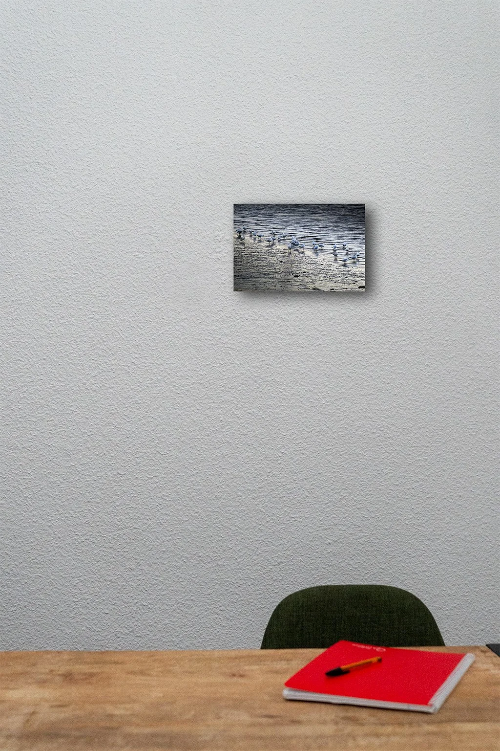 Seagulls on the Beach MU01.jpg