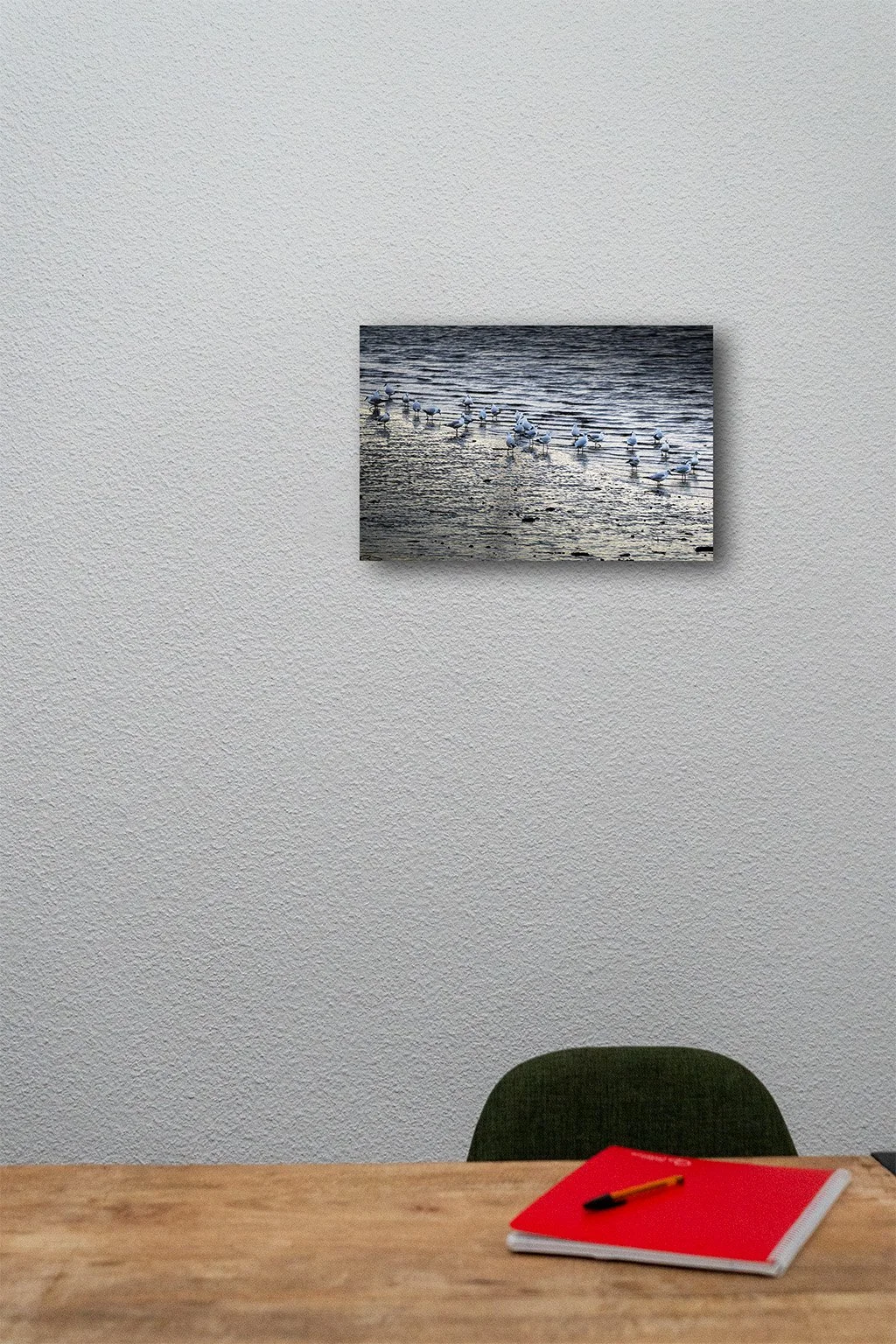 Seagulls on the Beach MU02.jpg