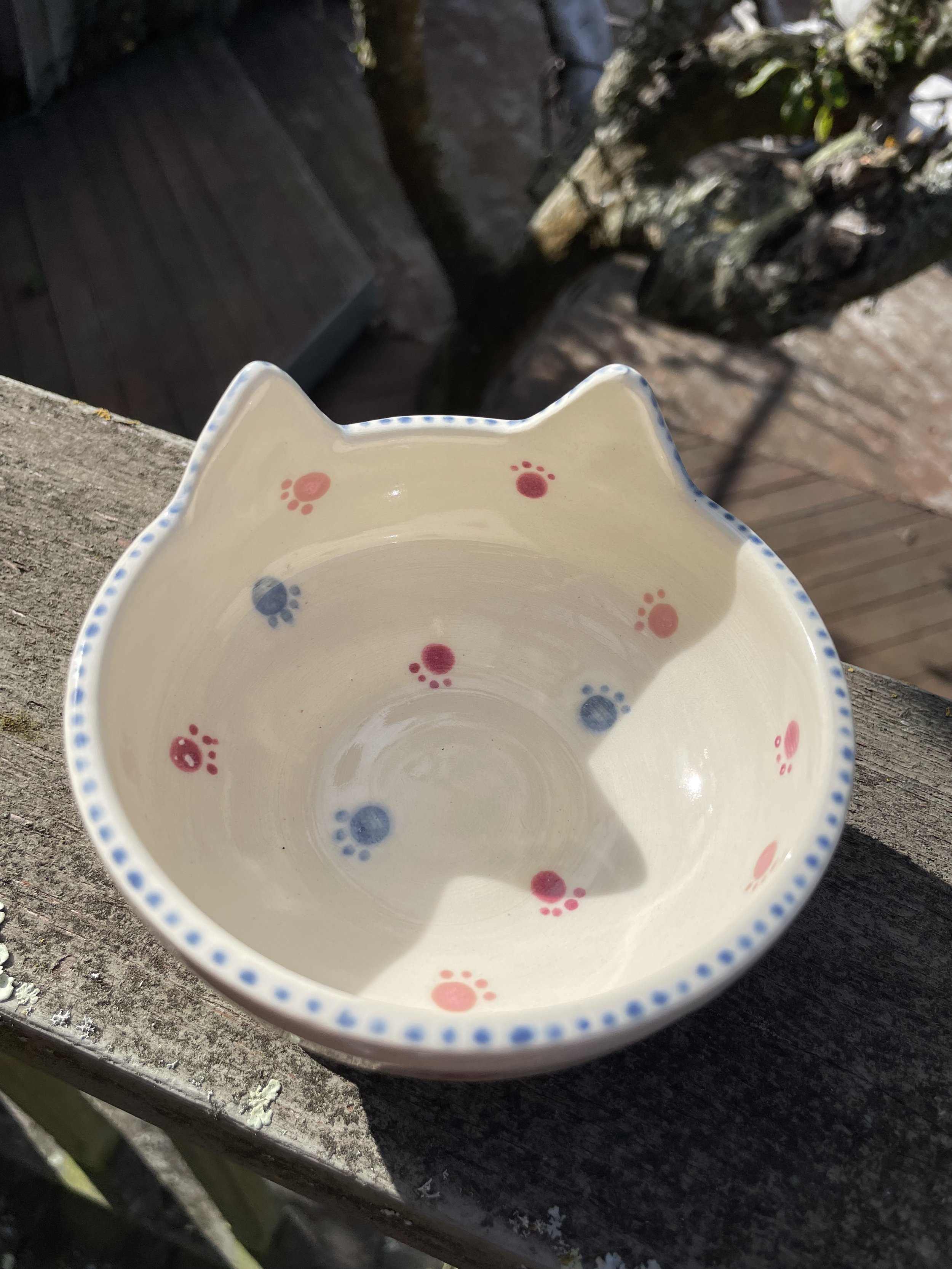 Cat Bowls