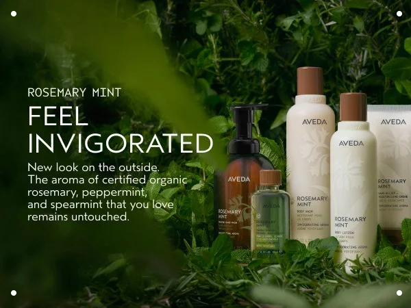 Turn your daily routine into a wellness ritual with Aveda's new Rosemary Mint and Shampure Body Care collections. Discover cleansing, hydration and aromatherapy-inspired self-care at Mien Salon Spa.