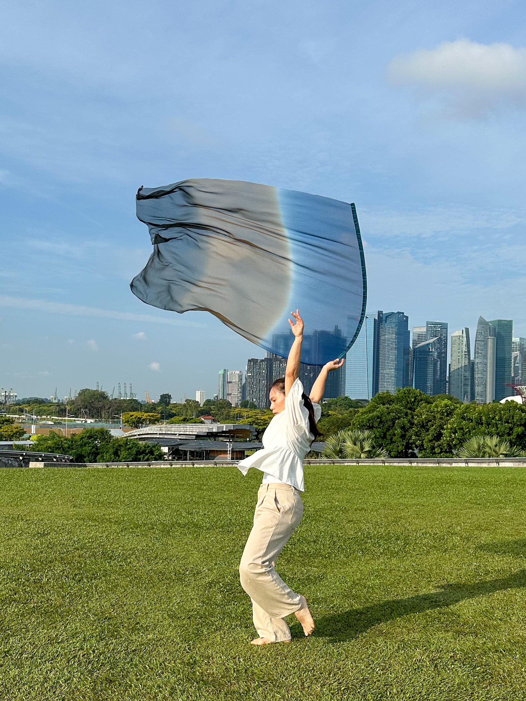 Awaken Silk Flag