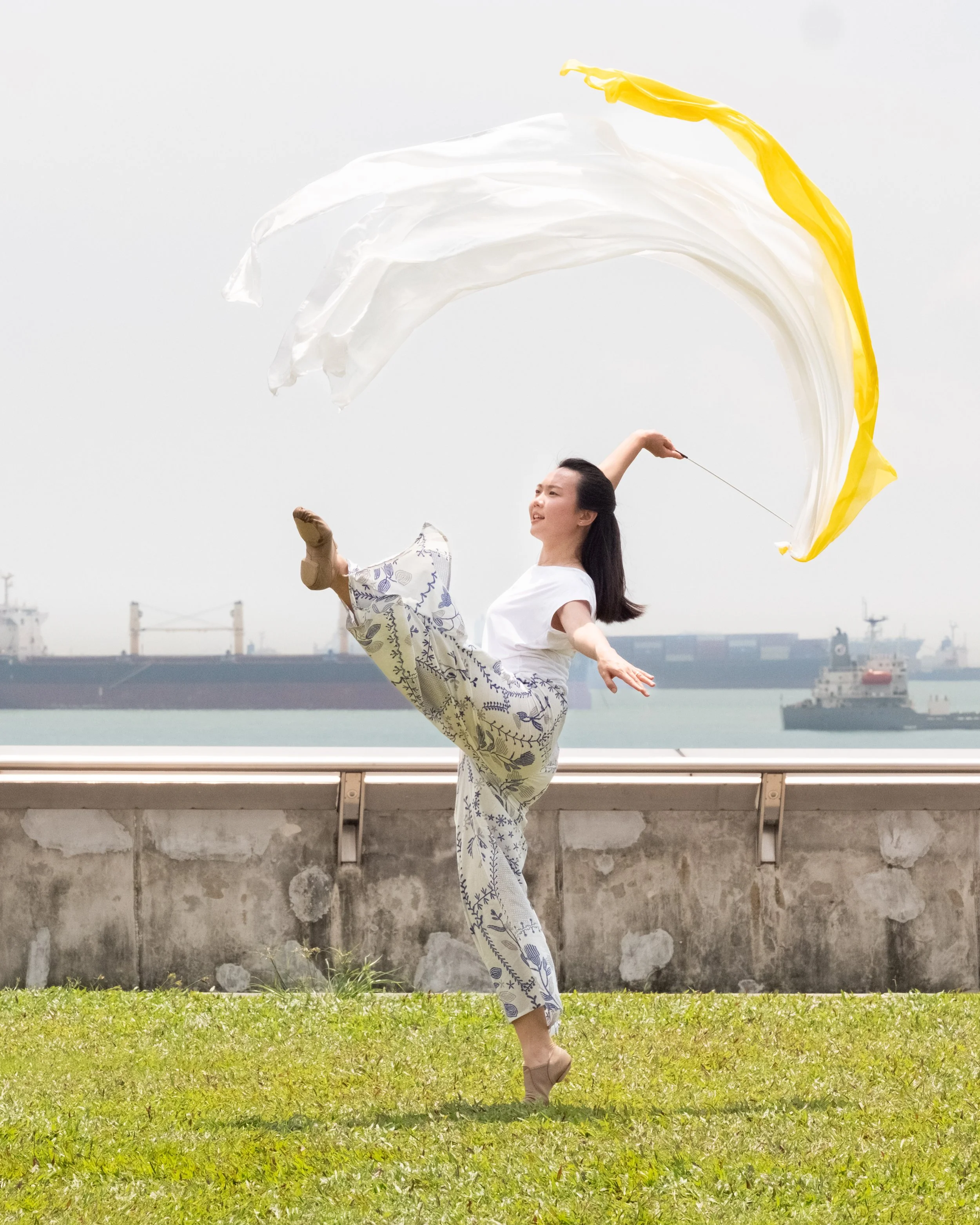 Horizon Silk Streamer