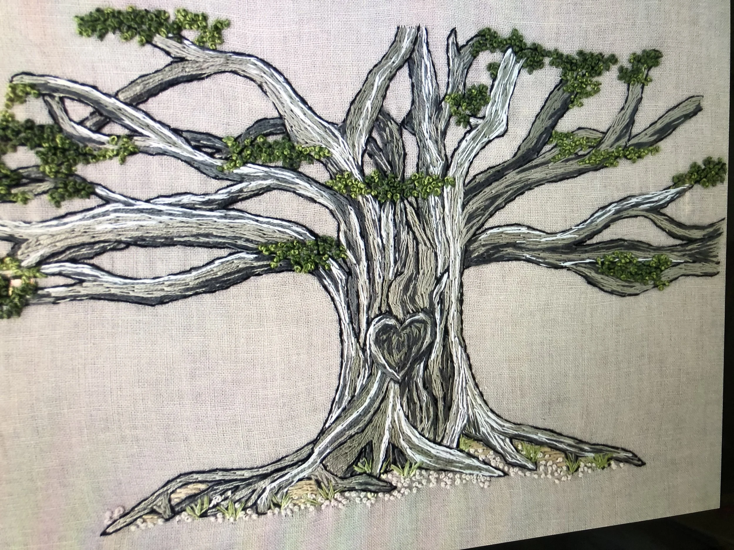 Lahaina’s Banyan Tree has sprouts!