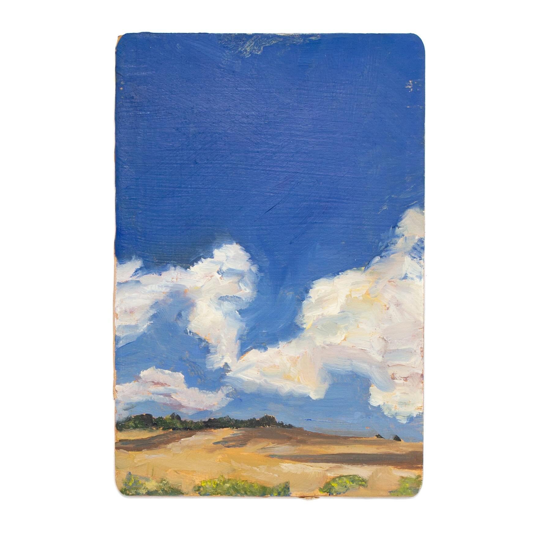 Casting Shadows / 4&rdquo;x6&rdquo; / oil on wood panel #clouds #oilpainting #painting #fields #hills #sky #pleinair #landscape #bluesky #smallpainting
