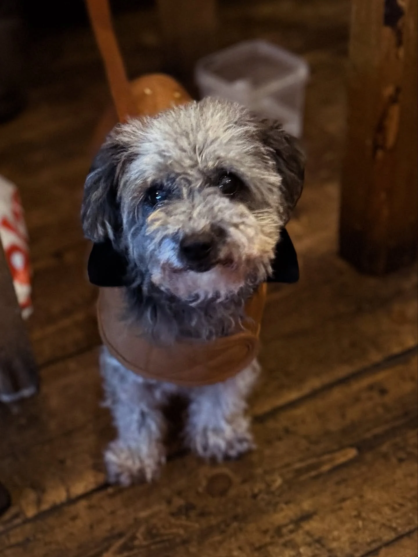 December is starting to get going - and we&rsquo;re beginning to feel waaaay more Christmassy (even had some jazzy festive tunes on today).

I&rsquo;ve started packing up hampers that are being posted and the kitchen is in full Christmas biscuit maki