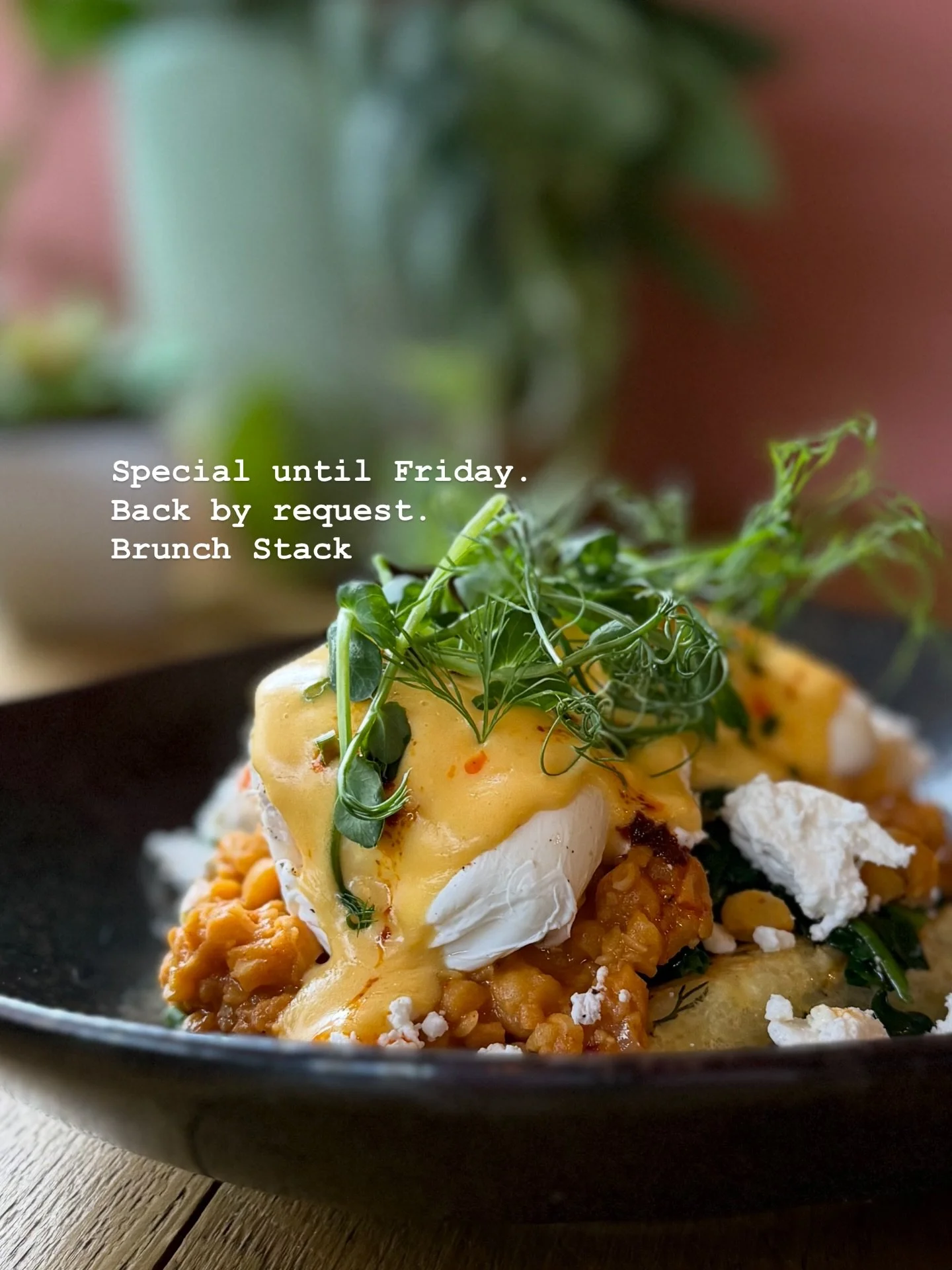 You lot have been asking&hellip; so we&rsquo;ve put it on the boards THIS week only (until Friday) 👉 Breakfast/Brunch Stack

Potato r&ouml;sti topped with harissa chickpeas, poached eggs, feta + hollandaise.

Creamy. A bit spicy. Proper satisfying. 
