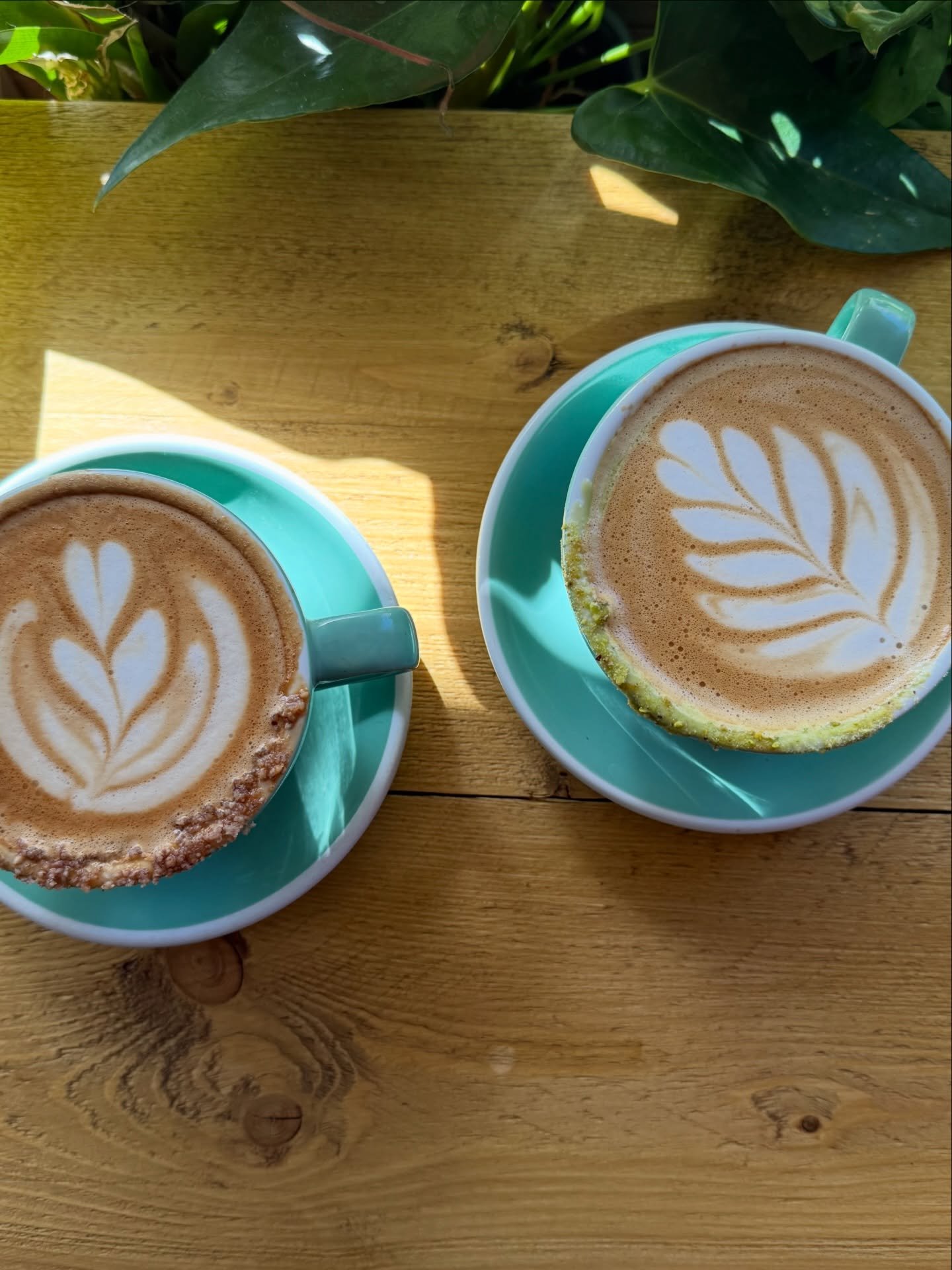 Team pistachio or maple pecan? 

TEAM Maple pecan lattes for the still-winter wins. Yep each year we bring back this drink. Southsea espresso, maple spice, perfect milk and our homemade pecan crumb. It&rsquo;s like a winter hug in a mug and there&rsq
