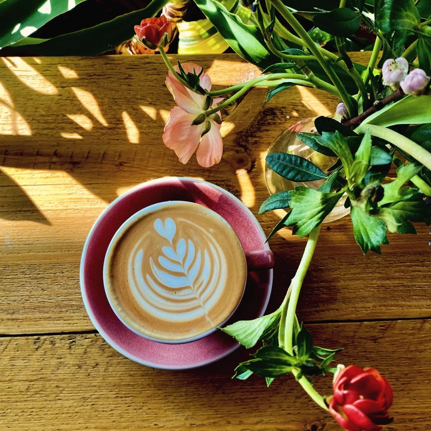 Great coffee. Delicious food. Zero regrets.