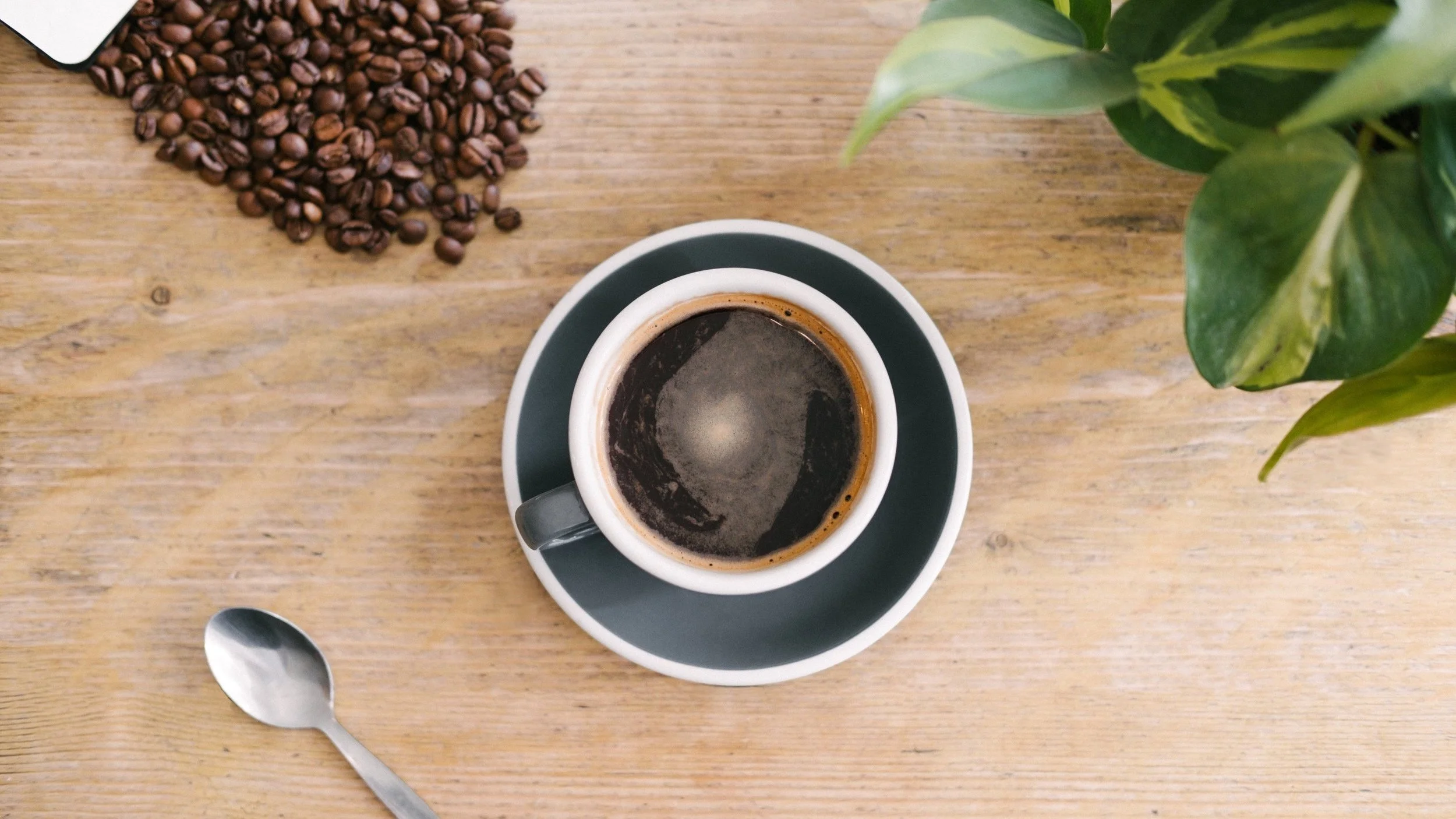 FB7A812F-F623-454B-8FCE-B3D140C76861.jpg