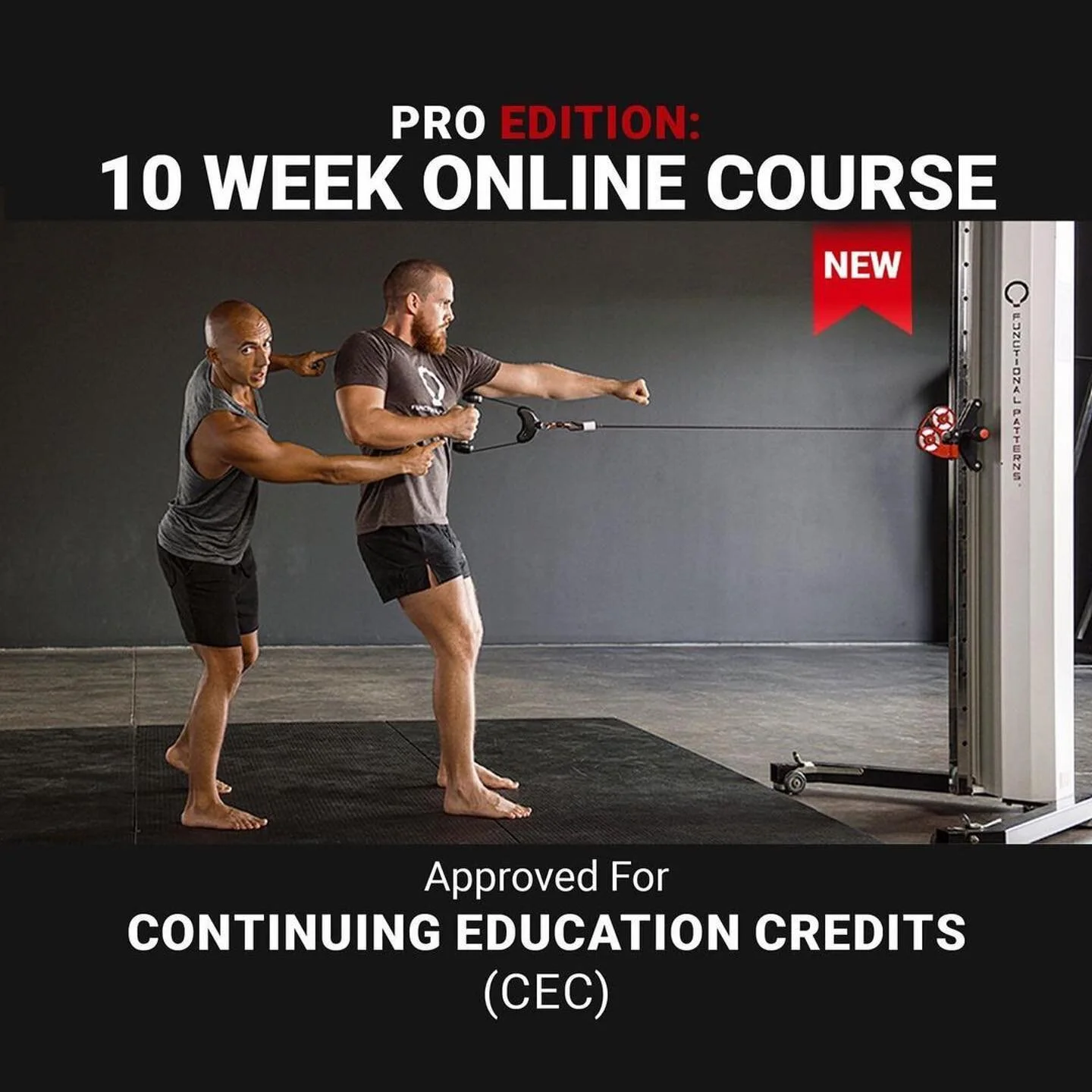 #Repost @naudiaguilar
・・・
For the trainers  who follow me who want continuing education credits with FP material, here it is! We just released the pro edition. Super pumped to get to this next phase of industry adoption! Vamonos
#functionalpatterns #