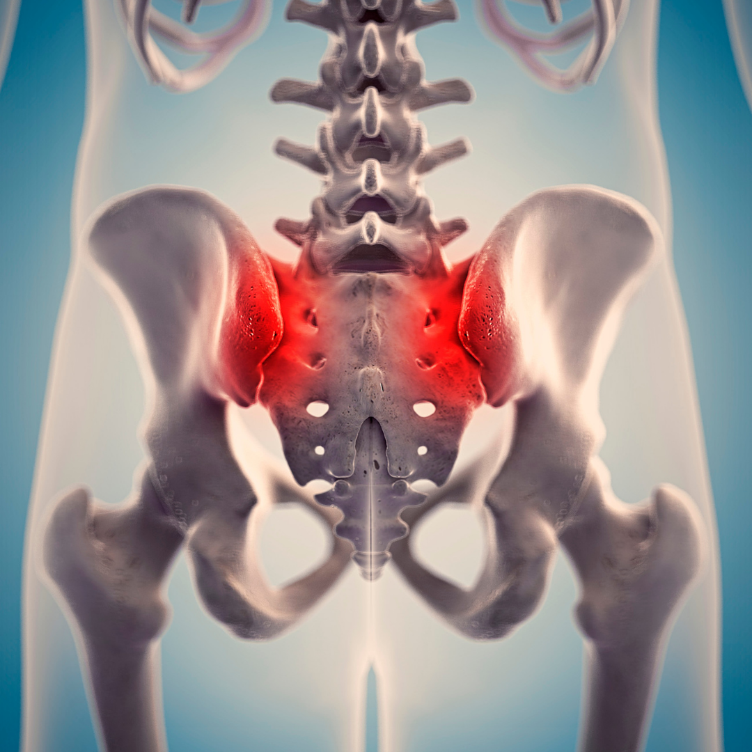 Diagram showing the relationship between the tailbone, pelvis, and lower back