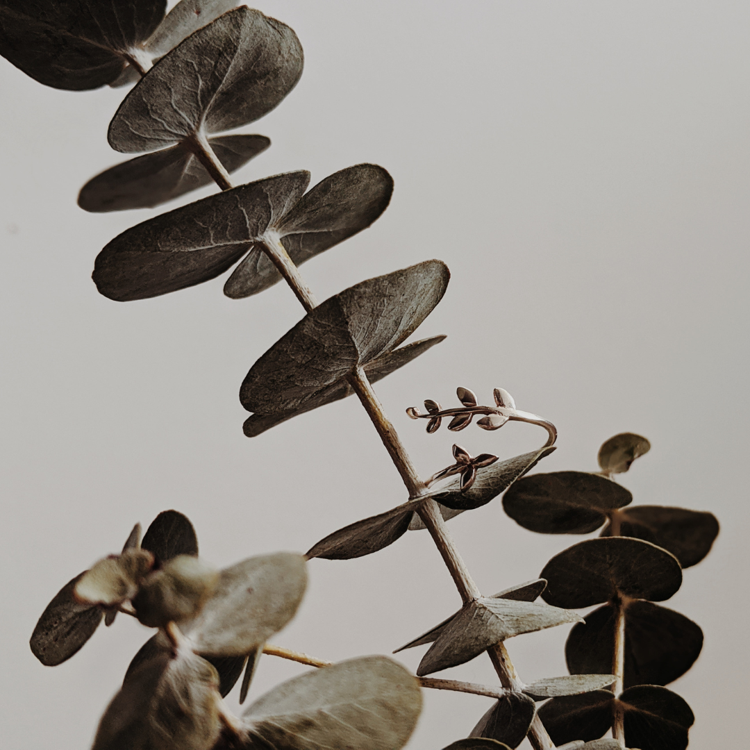 Blog Post Title Four