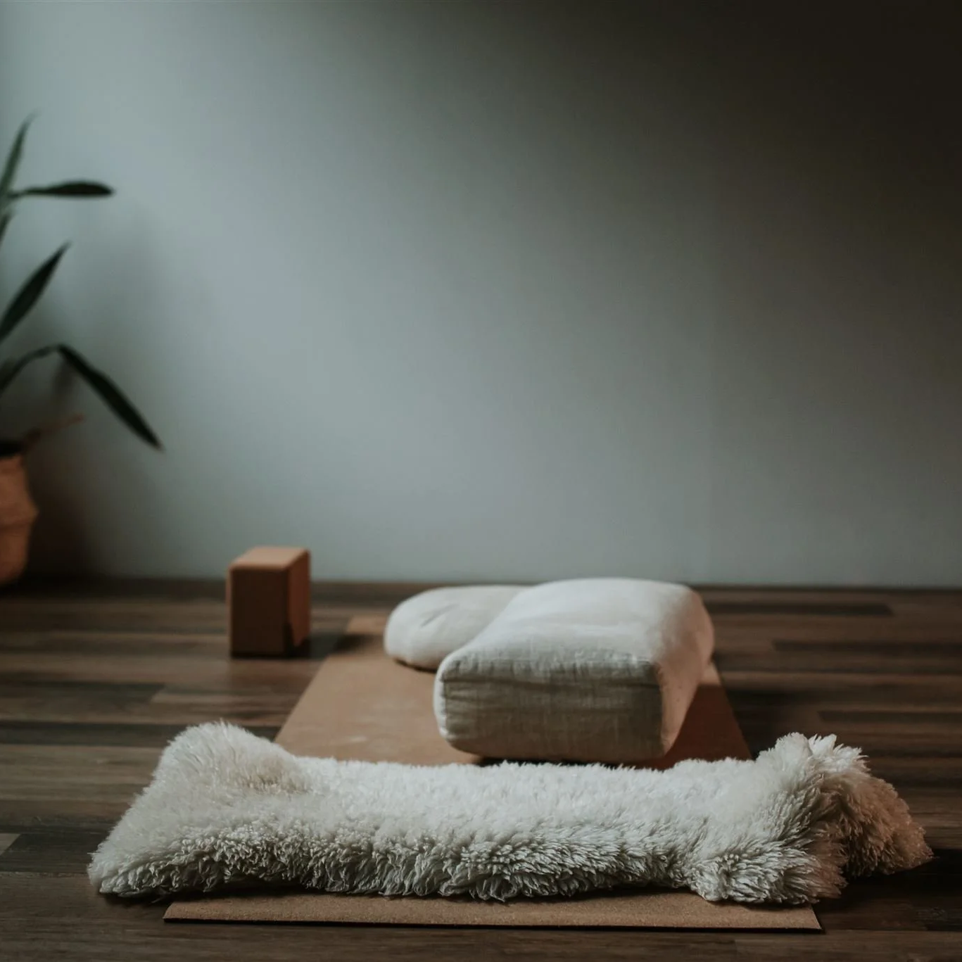 The Nook at Treeline Aerial, Whistler BC. A minimalist yoga or meditation space with a white plush rug, a low wooden bench with cushions, a small brick-colored block, and a potted plant on the left, all on a wooden floor against a plain wall.