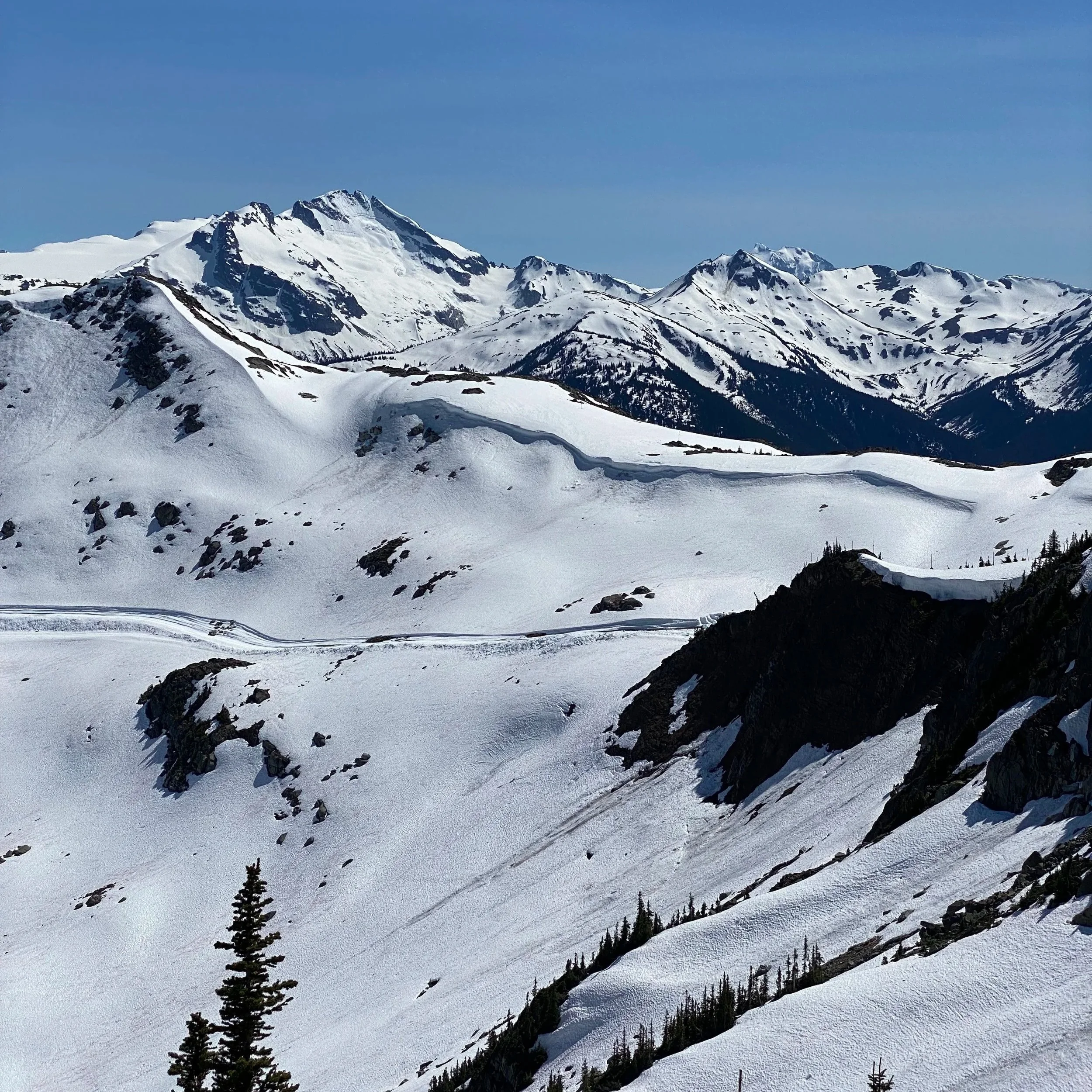 Whistler Blackcomb, BC. Snow-covered mountain landscape with rugged peaks, evergreen trees, and a clear blue sky.
