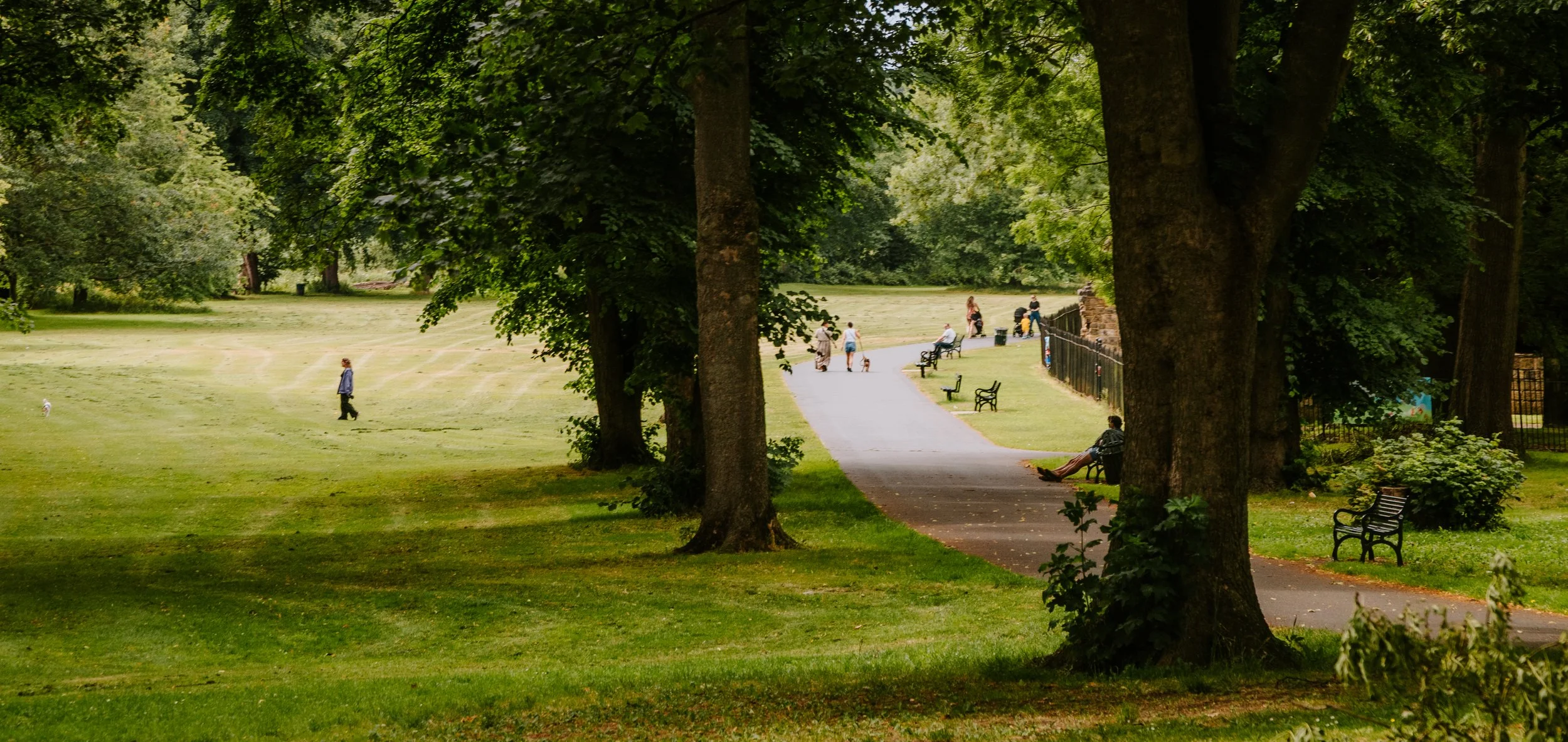 A park scene with large trees, a walking path, benches, and several people, including children and adults, enjoying the outdoors. kirkstall leeds