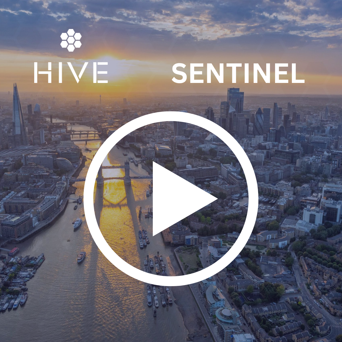 Inside HIVE Sentinel: Turning Live Data into Underwriting Foresight