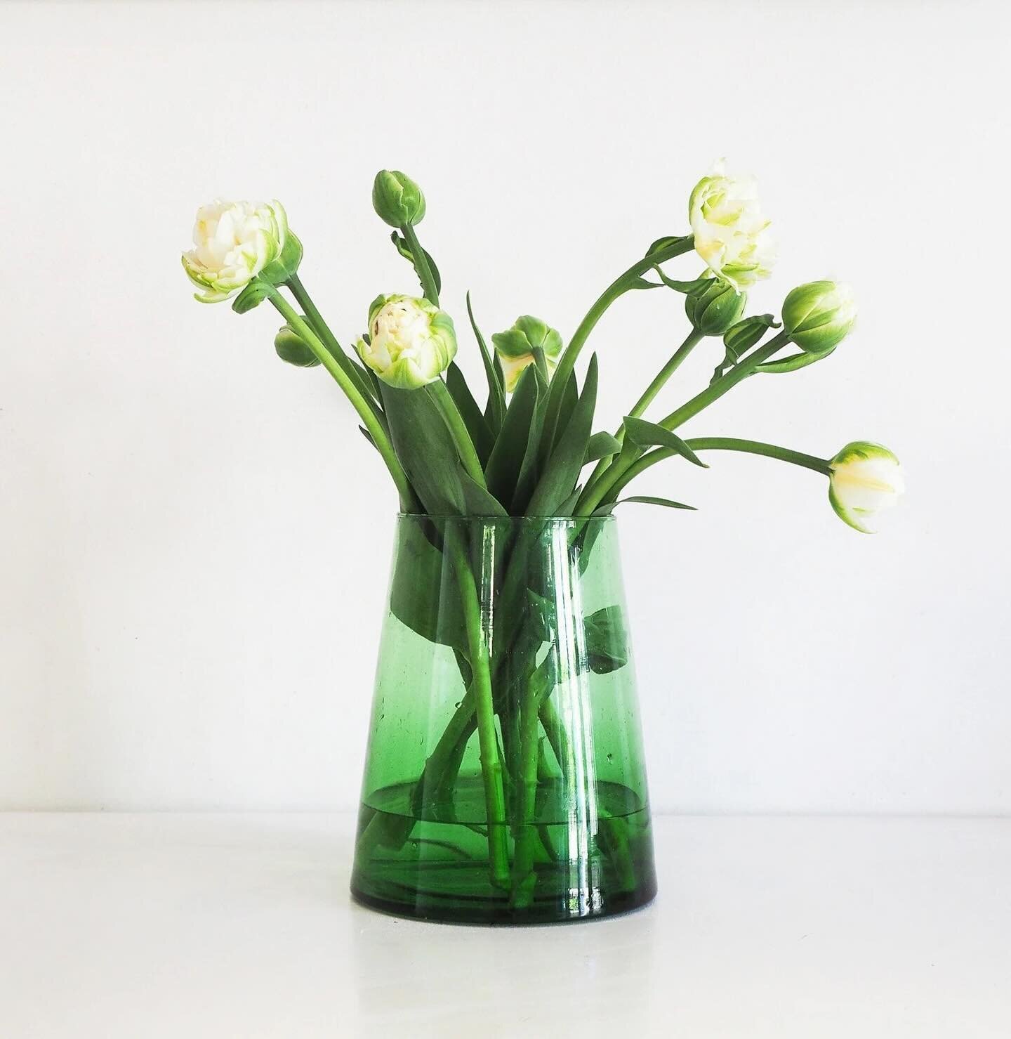 Embrace sustainability with style 🌿

Our mouth-blown recycled cone vases are a perfect blend of elegance and eco-conscious design.

#sustainabledesign #sustainabledecor #recycledglass #handmadevase