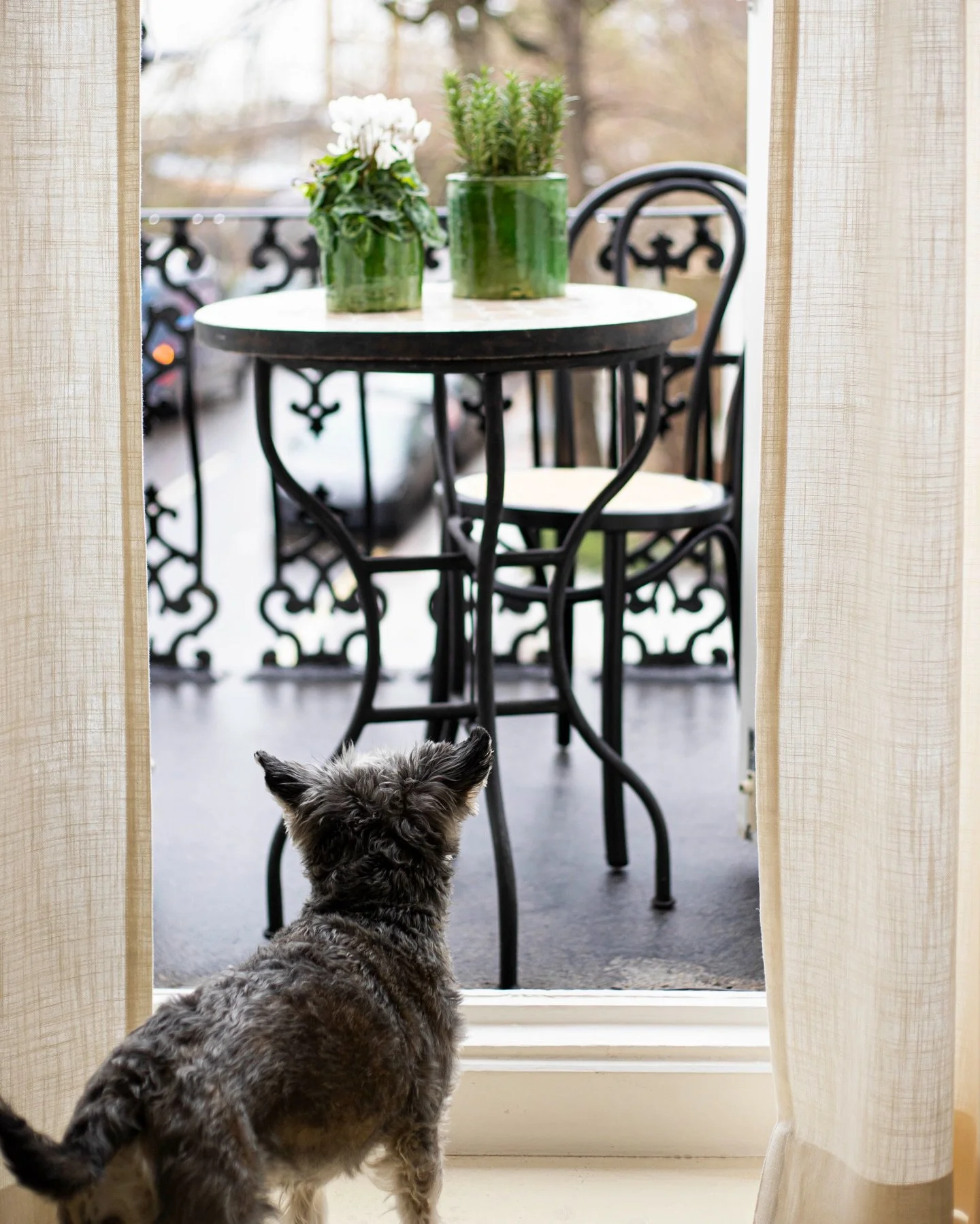 Handmade, beautifully imperfect, and made for your favourite plants 🌱 

Shop planters at moroccanwhite.co.uk