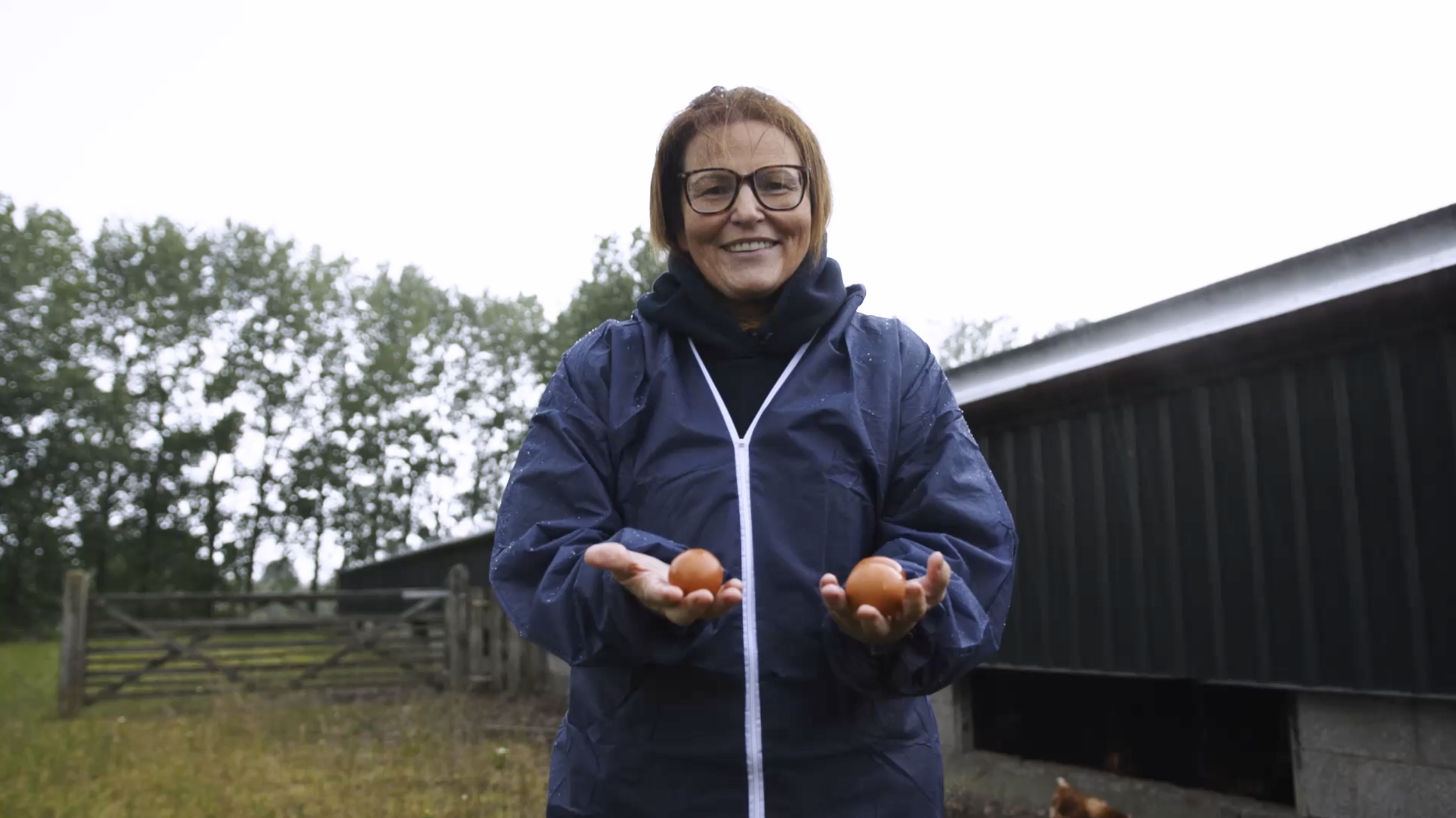 Country Fresh Eggs | NFU Mutual