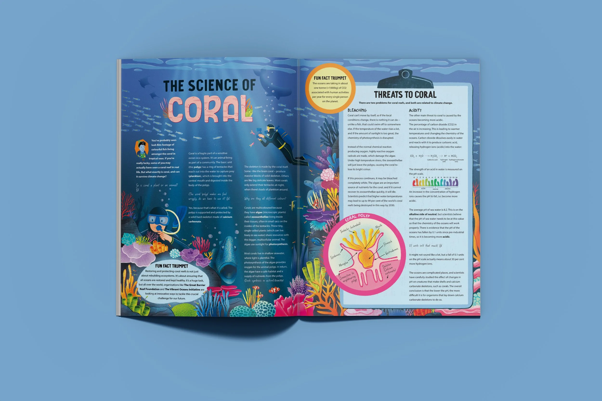 The Science of Coral