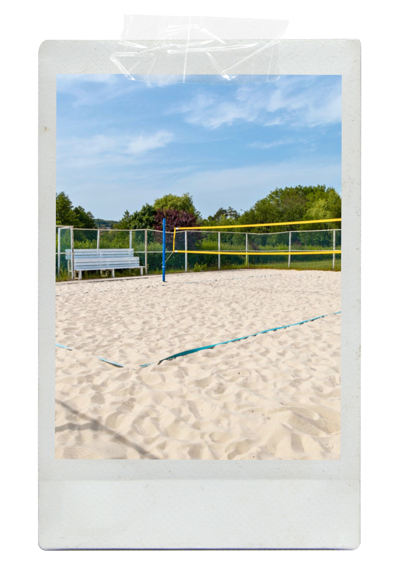 Empty sand volleyball court with net, surrounded by a fence, bench, trees, and blue sky.