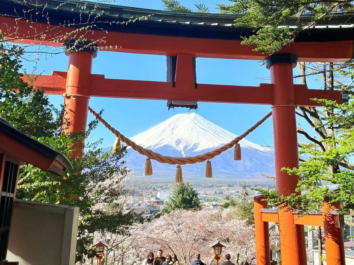 Torii gate with Mount Fuji in the background, cherry blossoms, and people in the foreground.