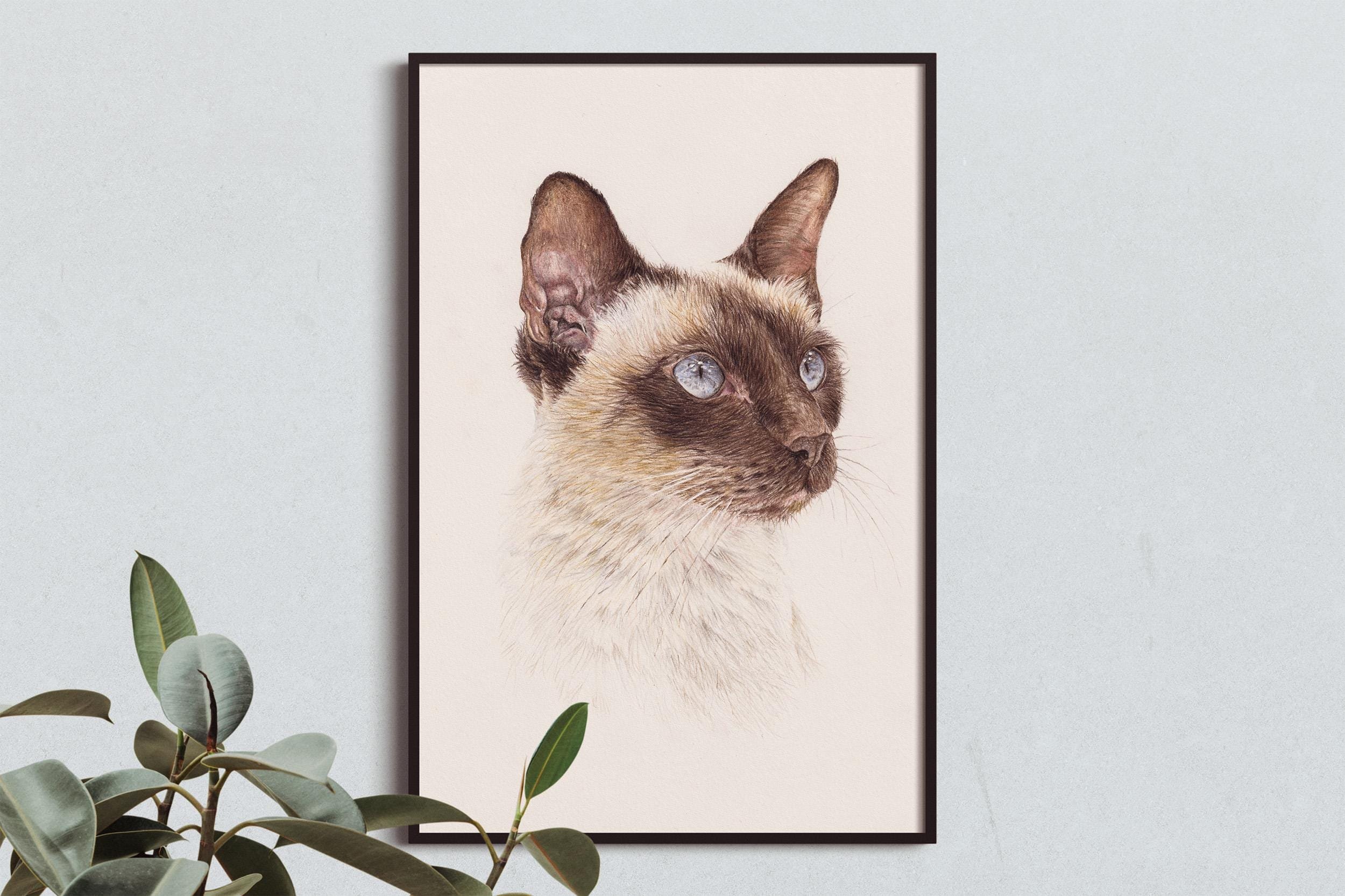 https://i.etsystatic.com/52293467/r/il/3c5c72/6373708047/il_fullxfull.6373708047_q7xx.jpg