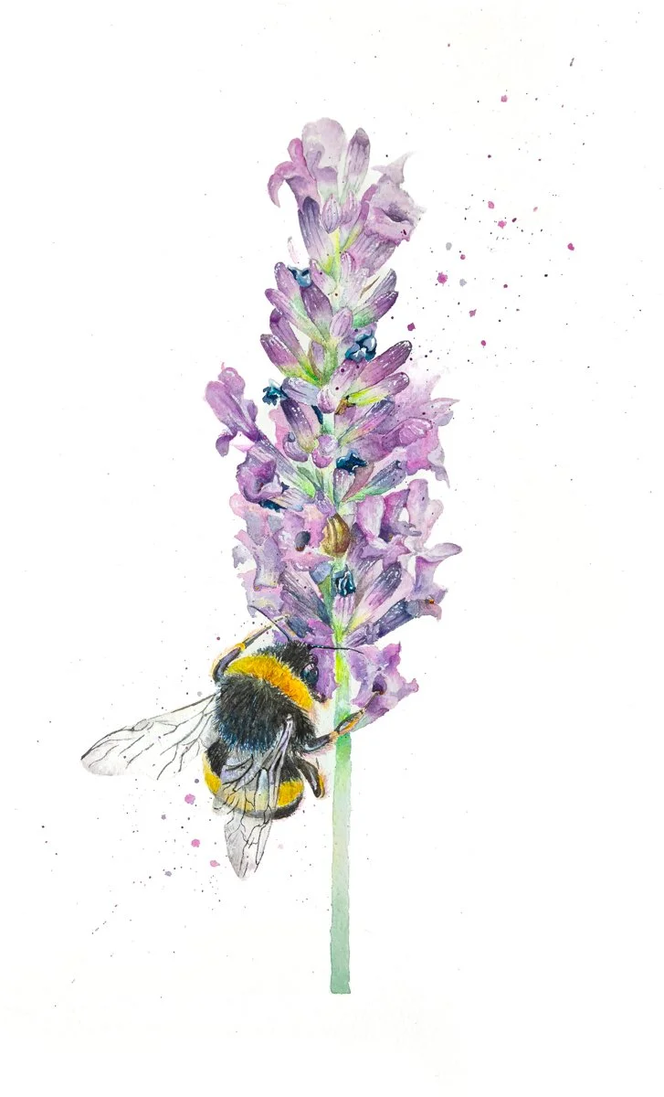 Pollinate (Original)