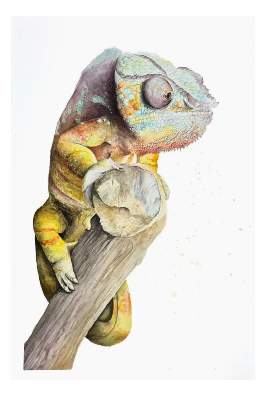 Chameleon (Original)