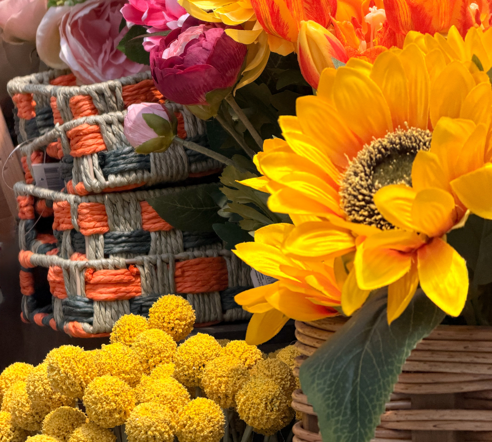 Hints of spring around The Plant Place