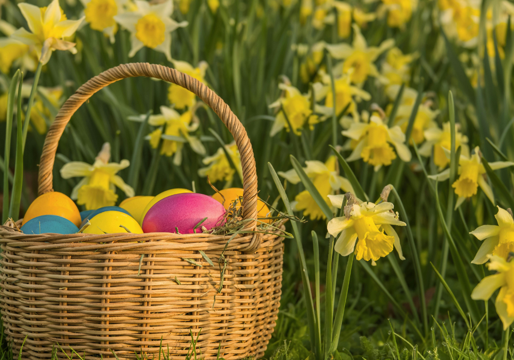 Easter Opening Hours