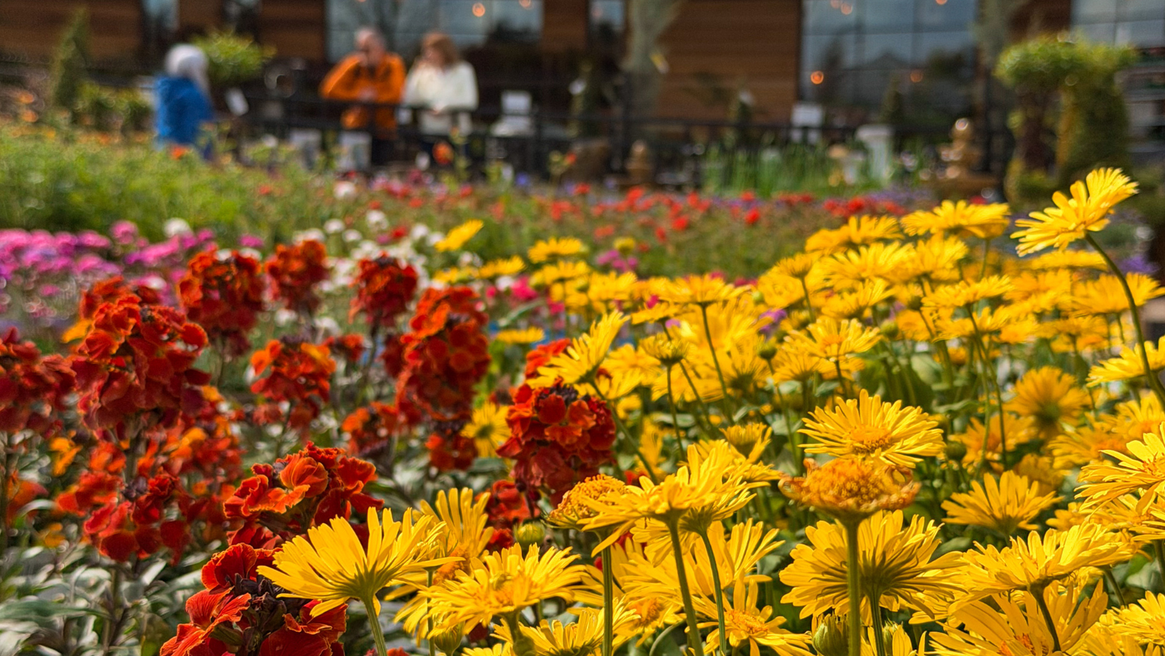 A quieter way to enjoy the plant area