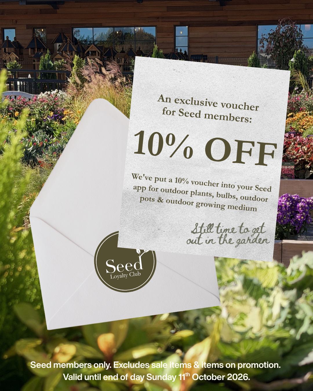 A 10% voucher for Seed members and still time to get out in the garden