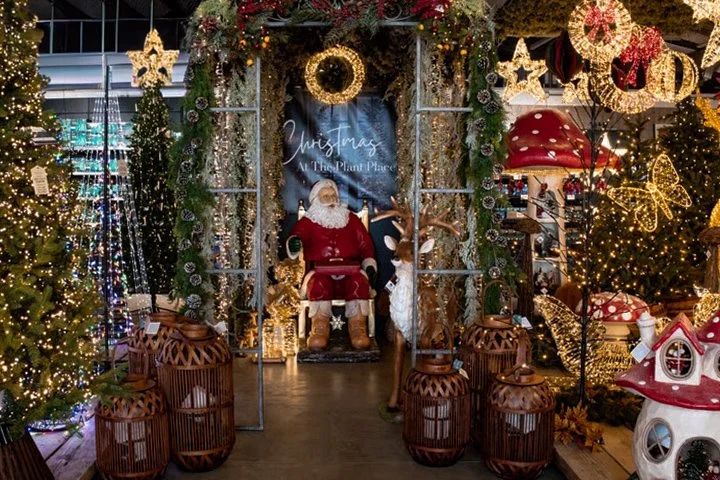The Christmas shop at The Plant Place, lit up with trees and decorations