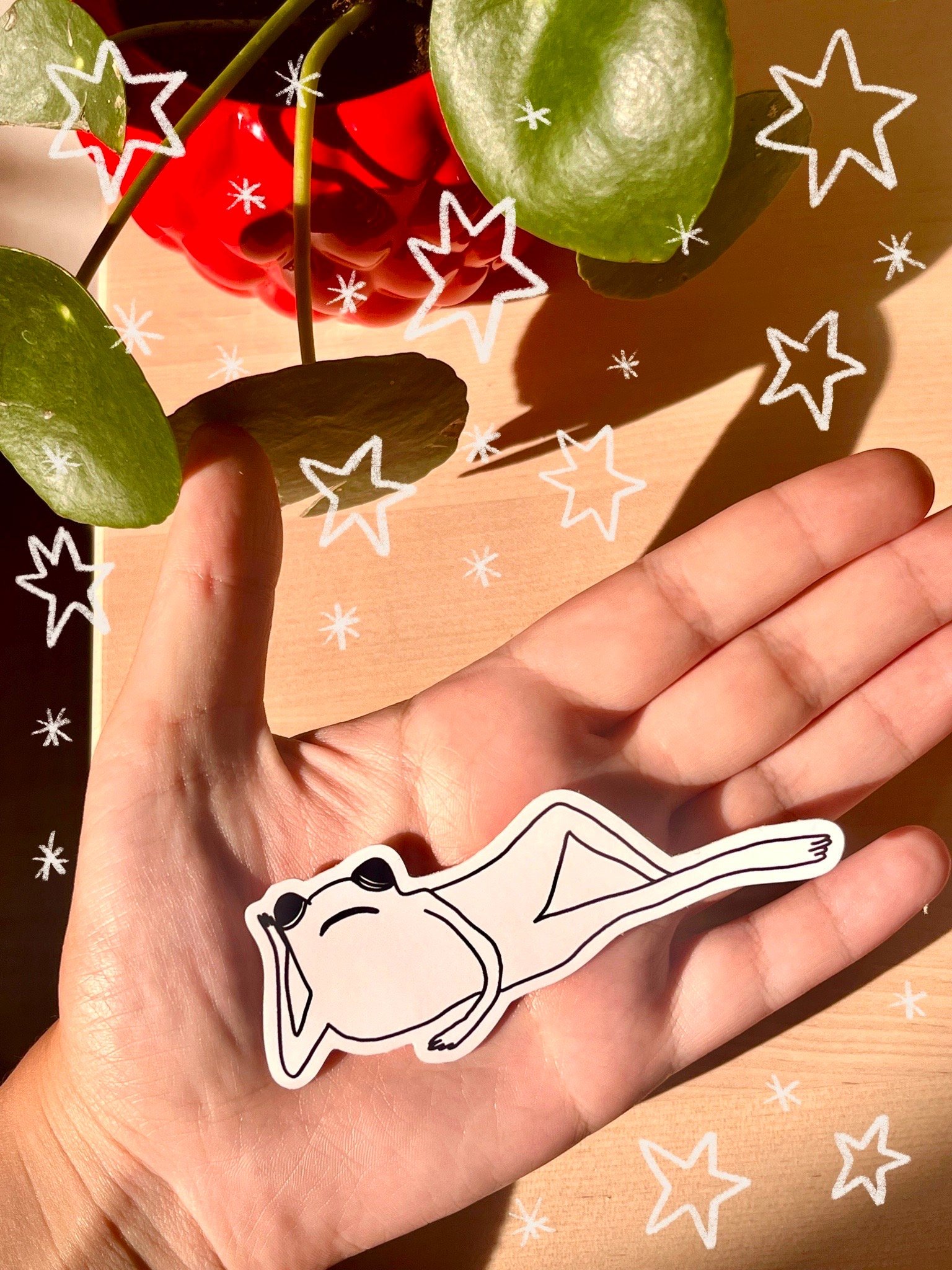 https://i.etsystatic.com/18594854/r/il/95c49f/5068907342/il_fullxfull.5068907342_8cw9.jpg