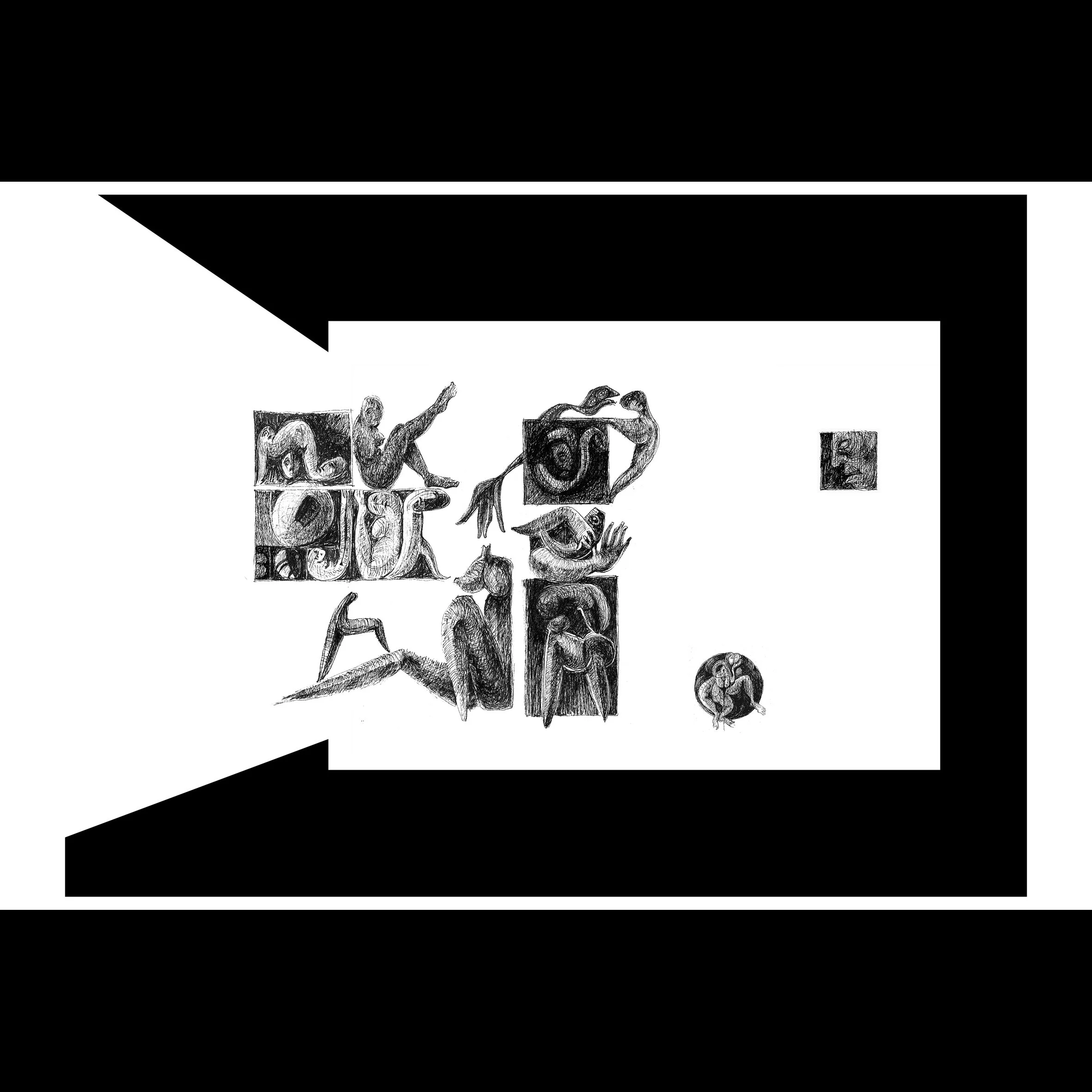 LF 31
