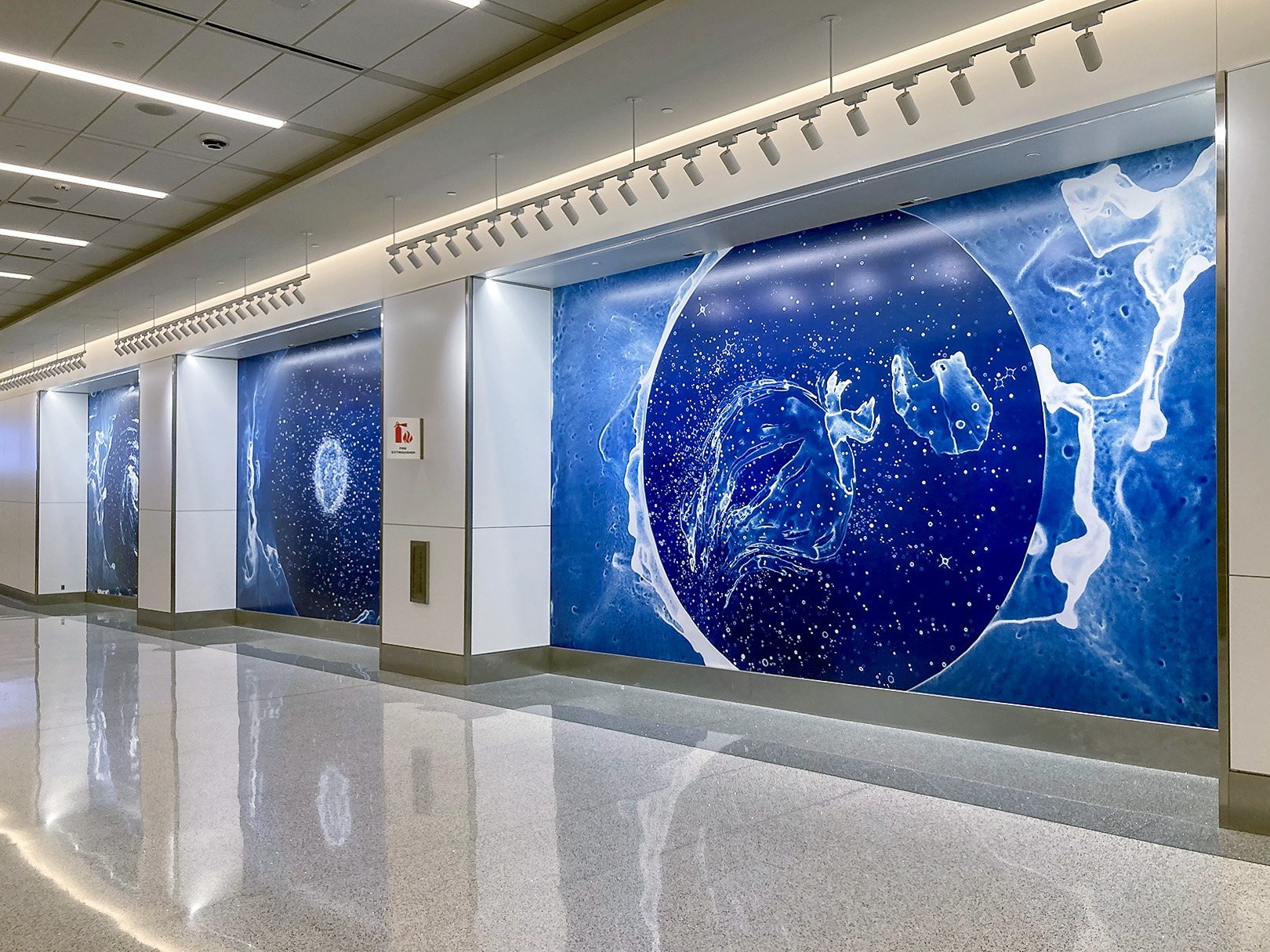 LAX INSTALLATIONS: YOUR BODY IS A SPACE THAT SEES