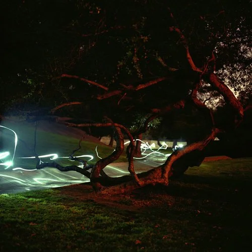 DARK SKATE | LOS ANGELES