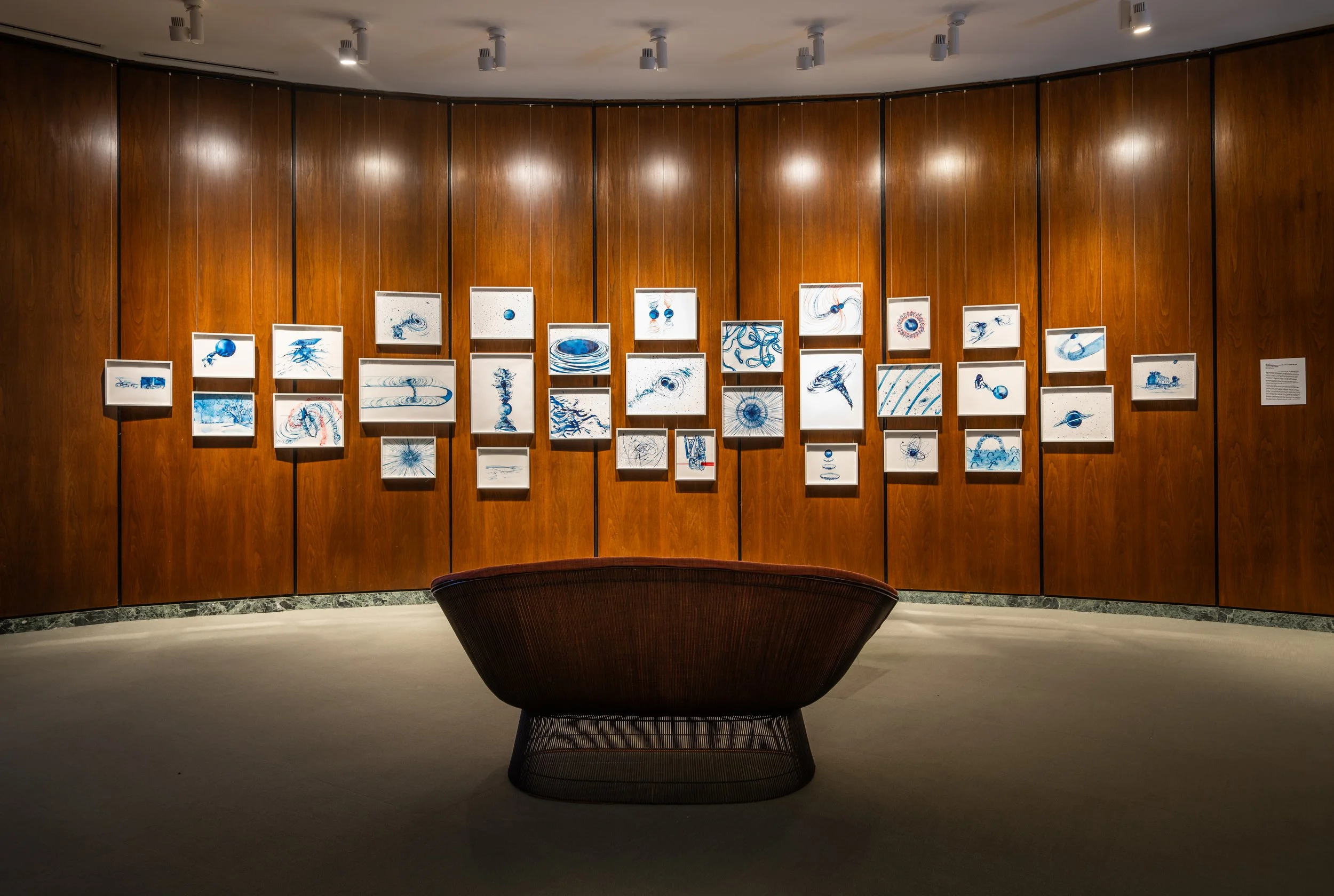 Installation |  Lia Halloran: Warped Side,  The National Academy of Sciences, February 3rd - June 1st, 2025 