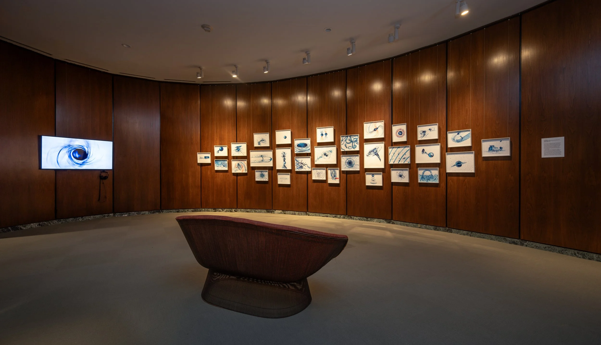  Installation |  Lia Halloran: Warped Side,  The National Academy of Sciences, February 3rd - June 1st, 2025 