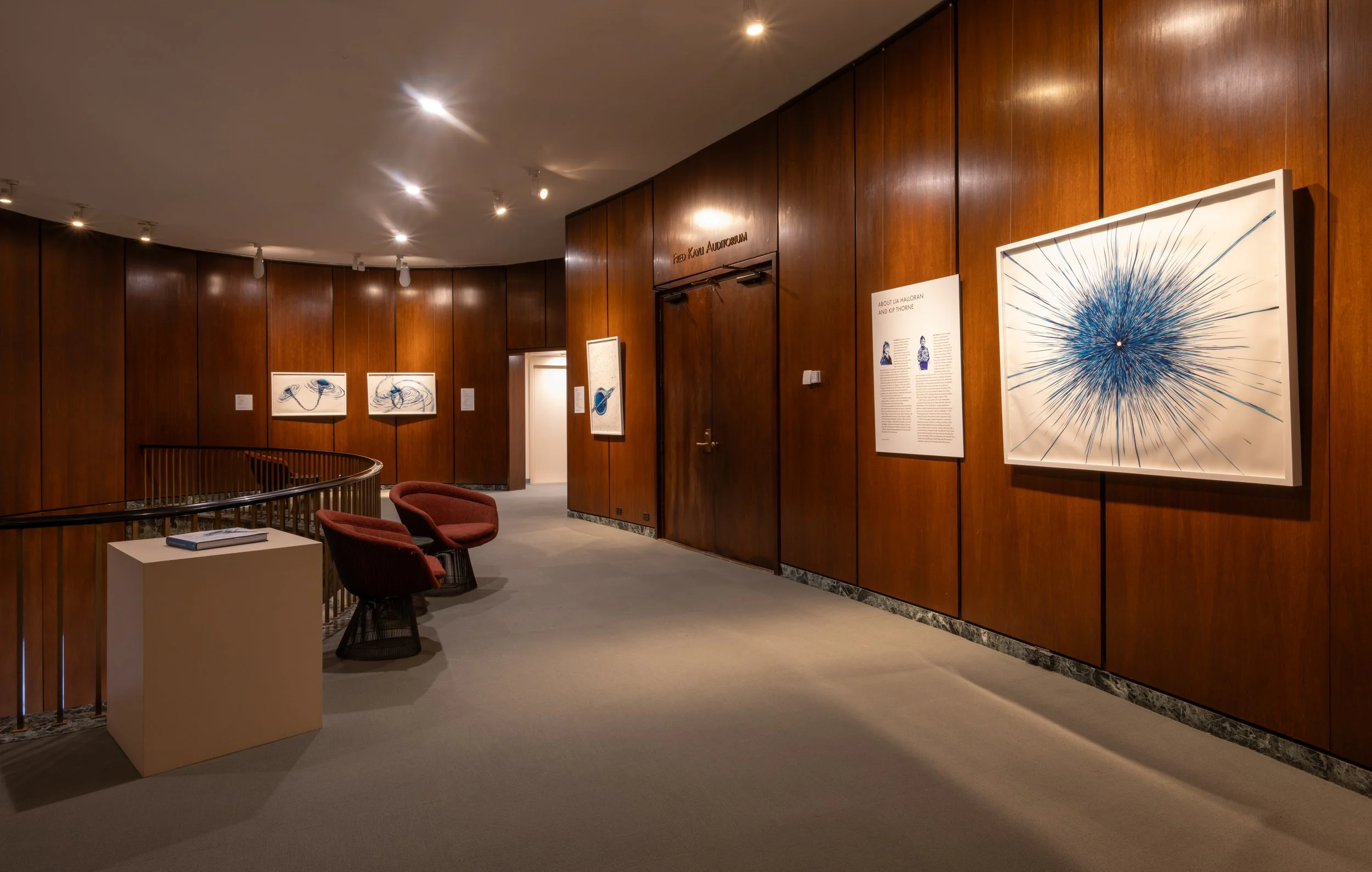  Installation |  Lia Halloran: Warped Side,  The National Academy of Sciences, February 3rd - June 1st, 2025 