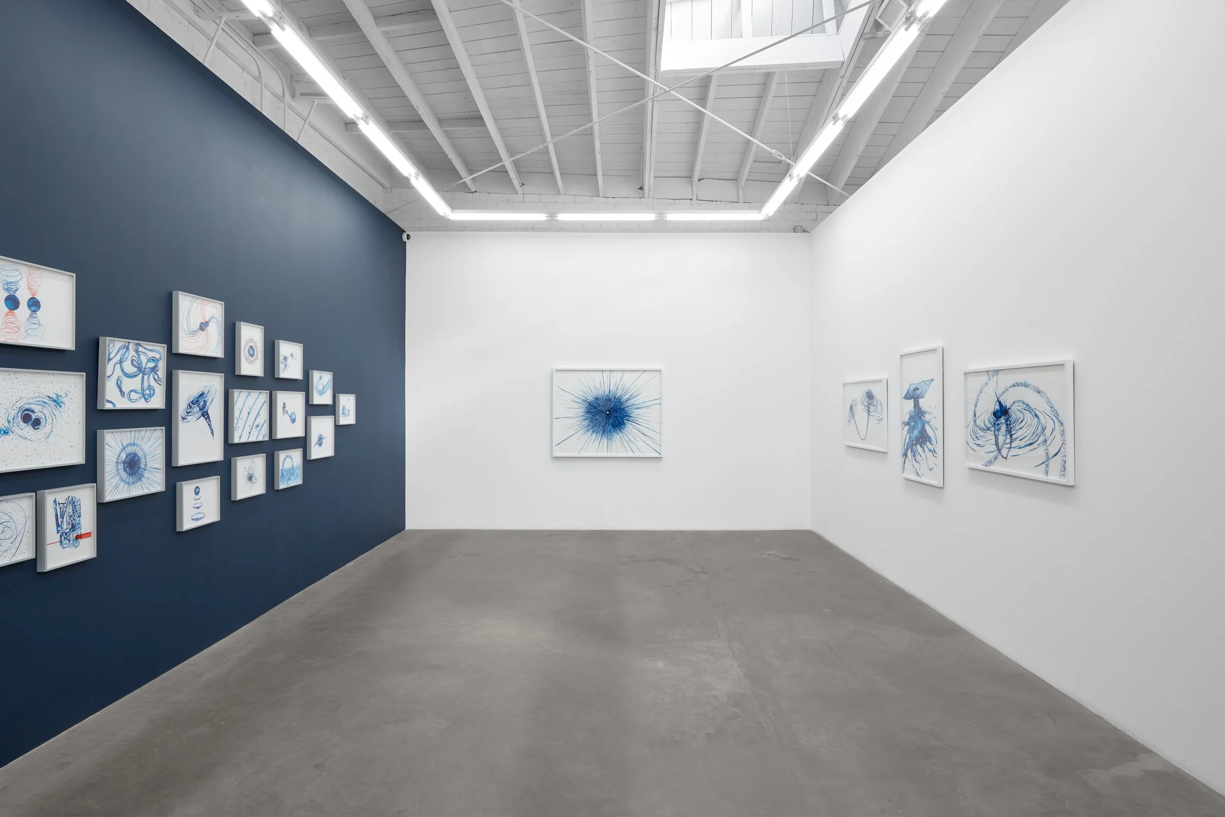  Installation |  Lia Halloran: Warped Side,  Luis de Jesus Los Angeles, November 4th - December 22nd, 2023 