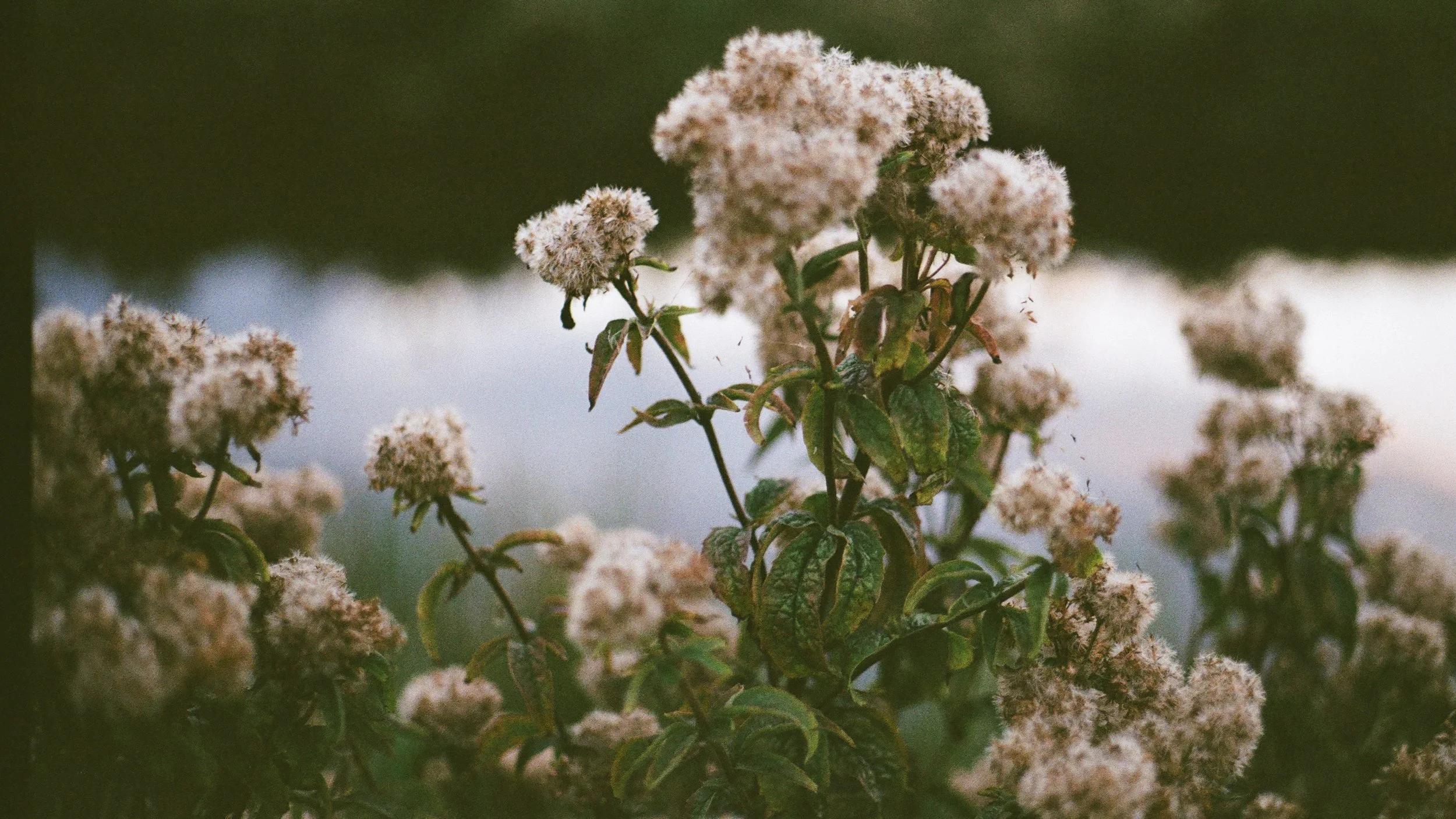 5091_07.jpg