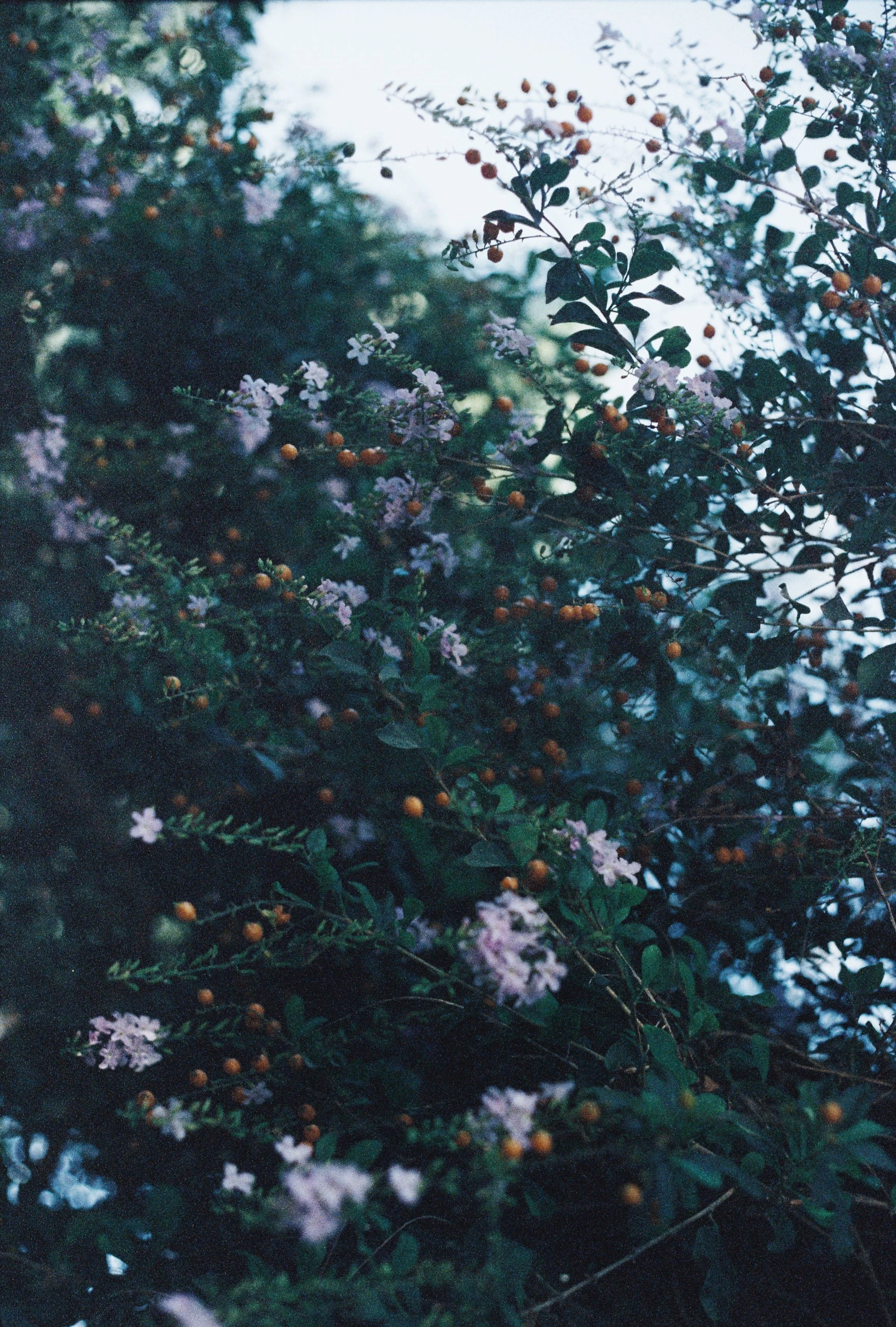 IMG_6843_VSCO.JPG