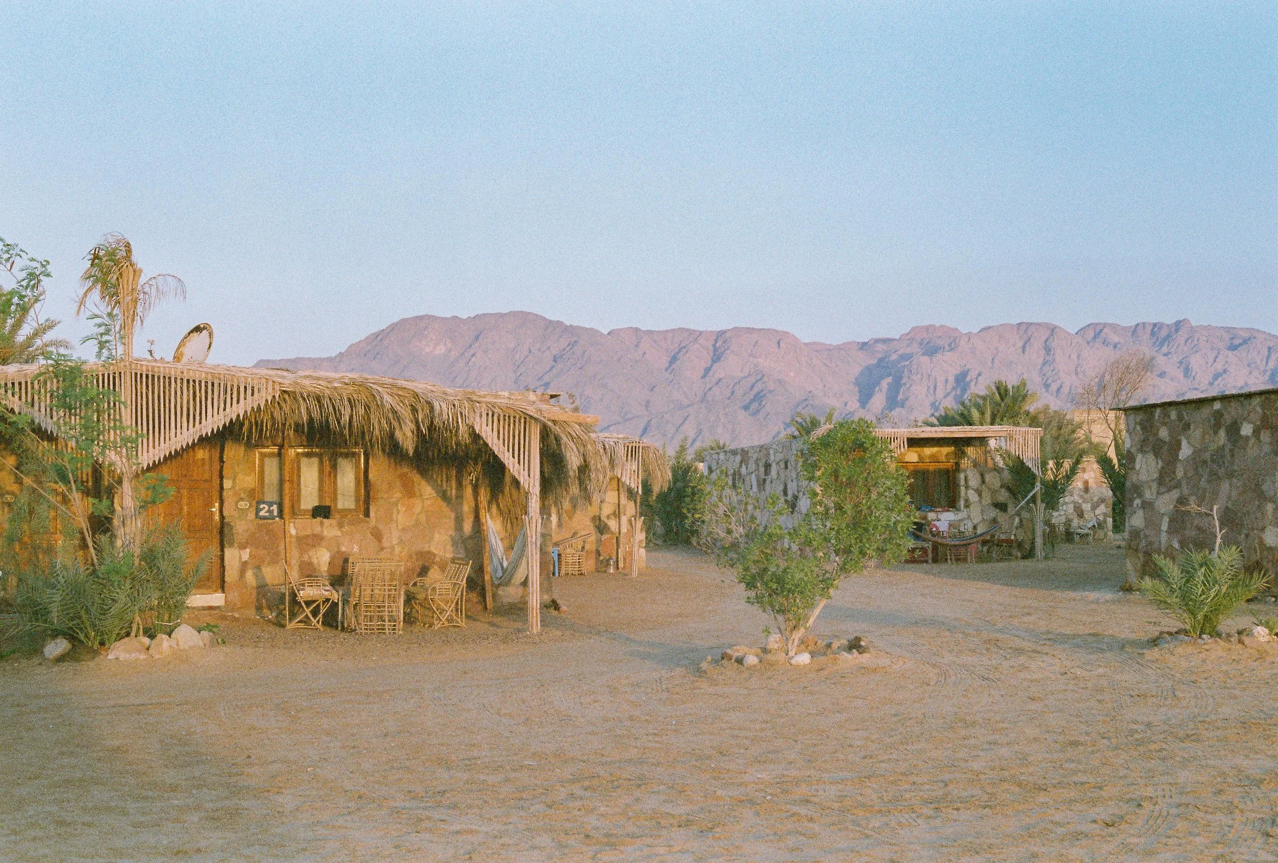 8063_03.jpg