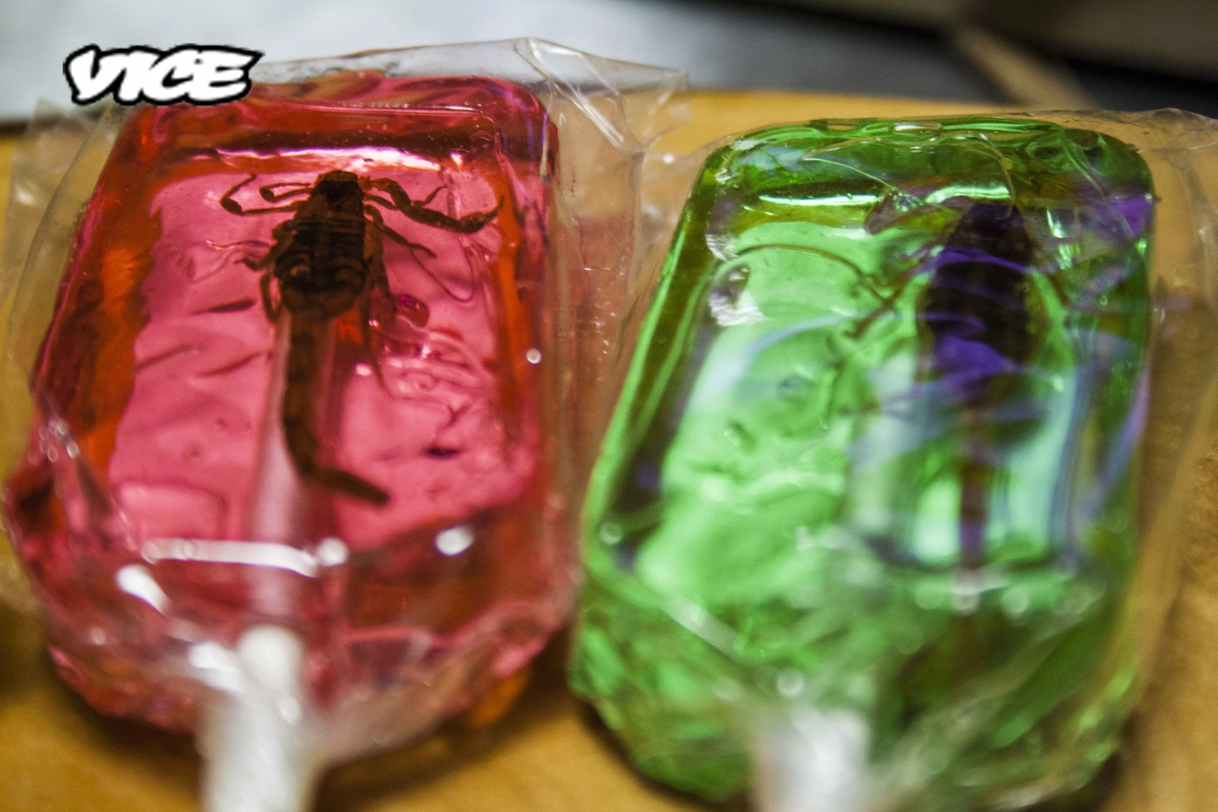 <ptitel> Ger is de insectenprofeet van Nederland</ptitel> <br> <pfunctie>VICE</pfunctie>