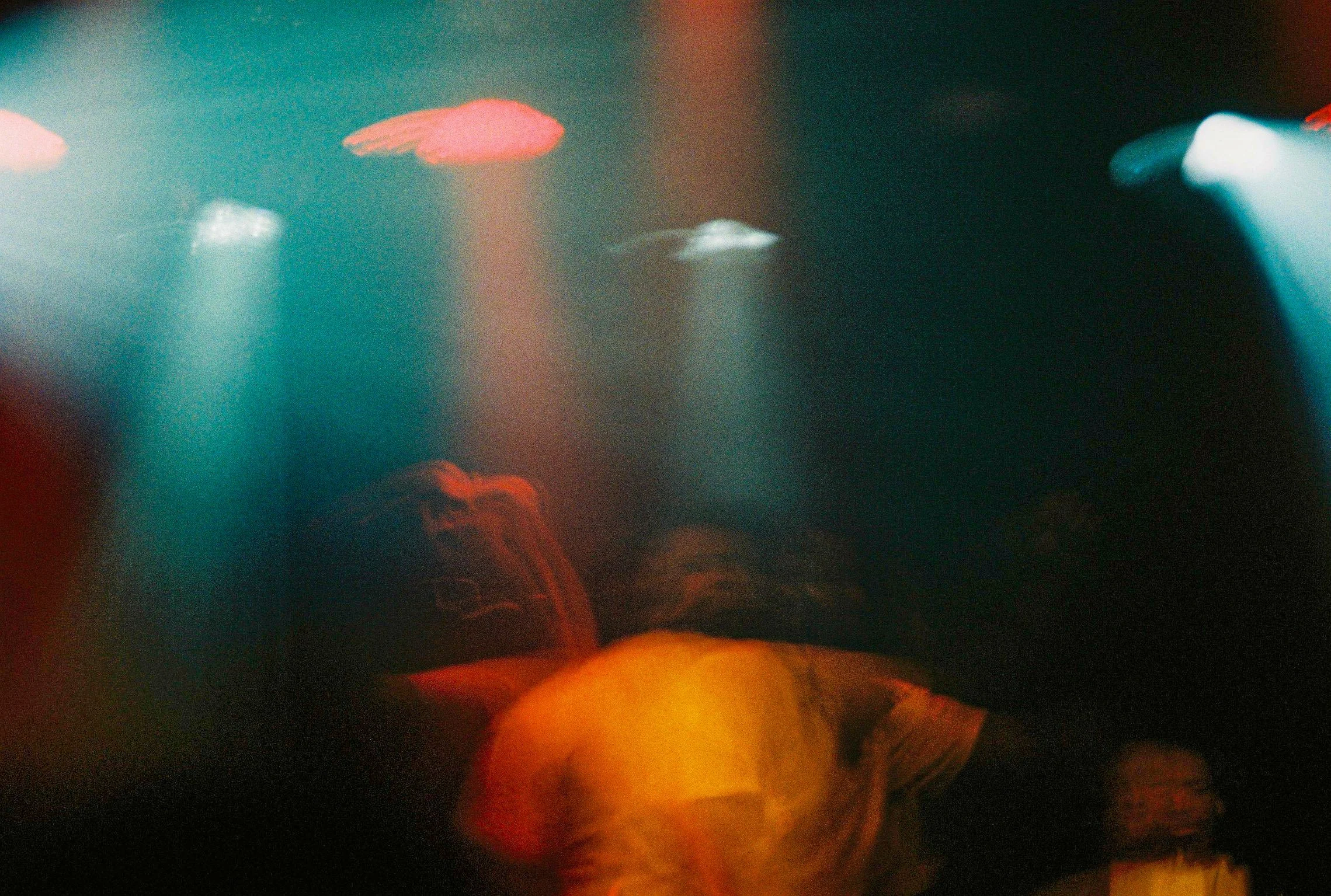 000015.jpg