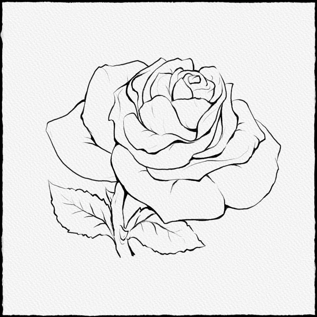 den-rose-v1.jpg