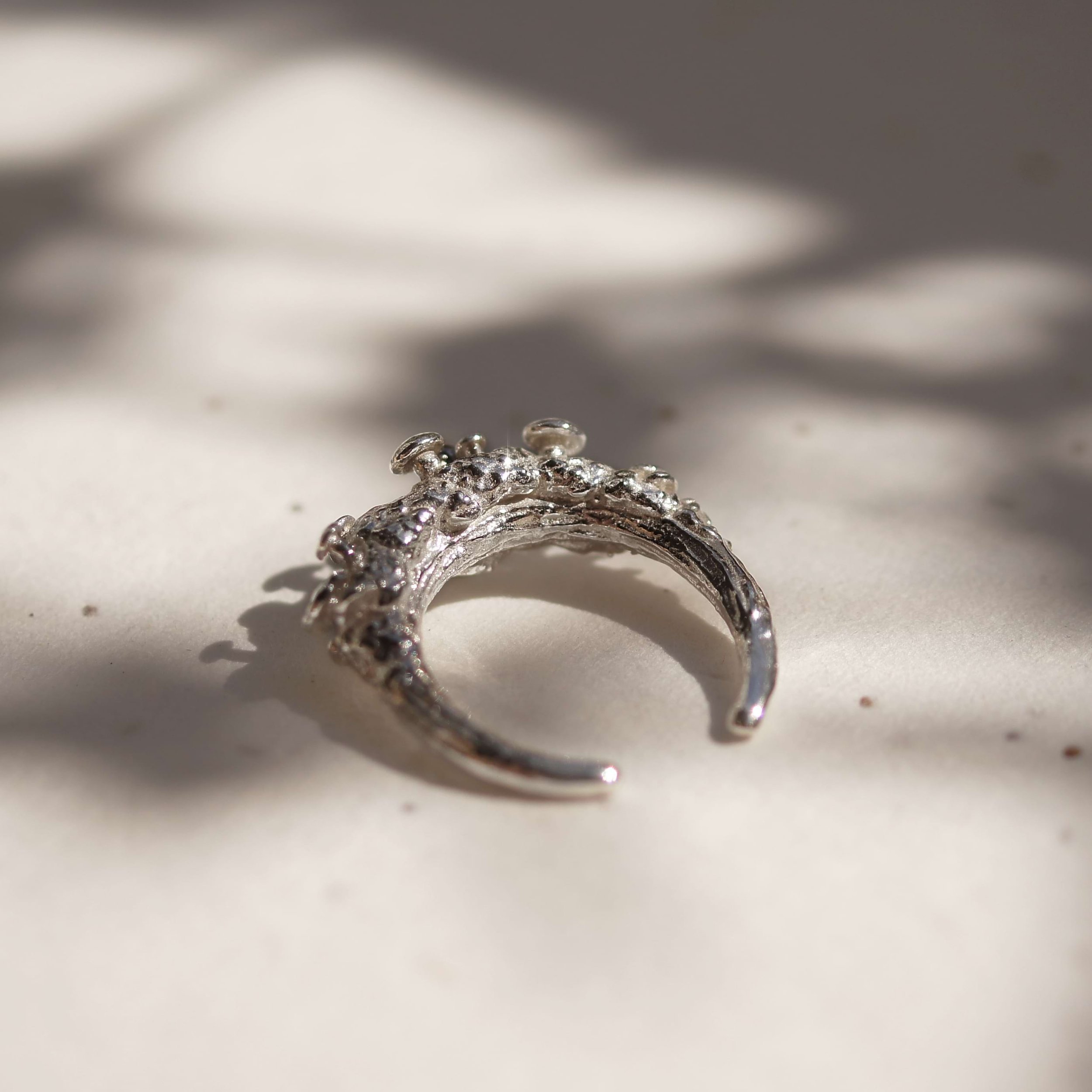 Ring_mushroom_silver_square.jpg