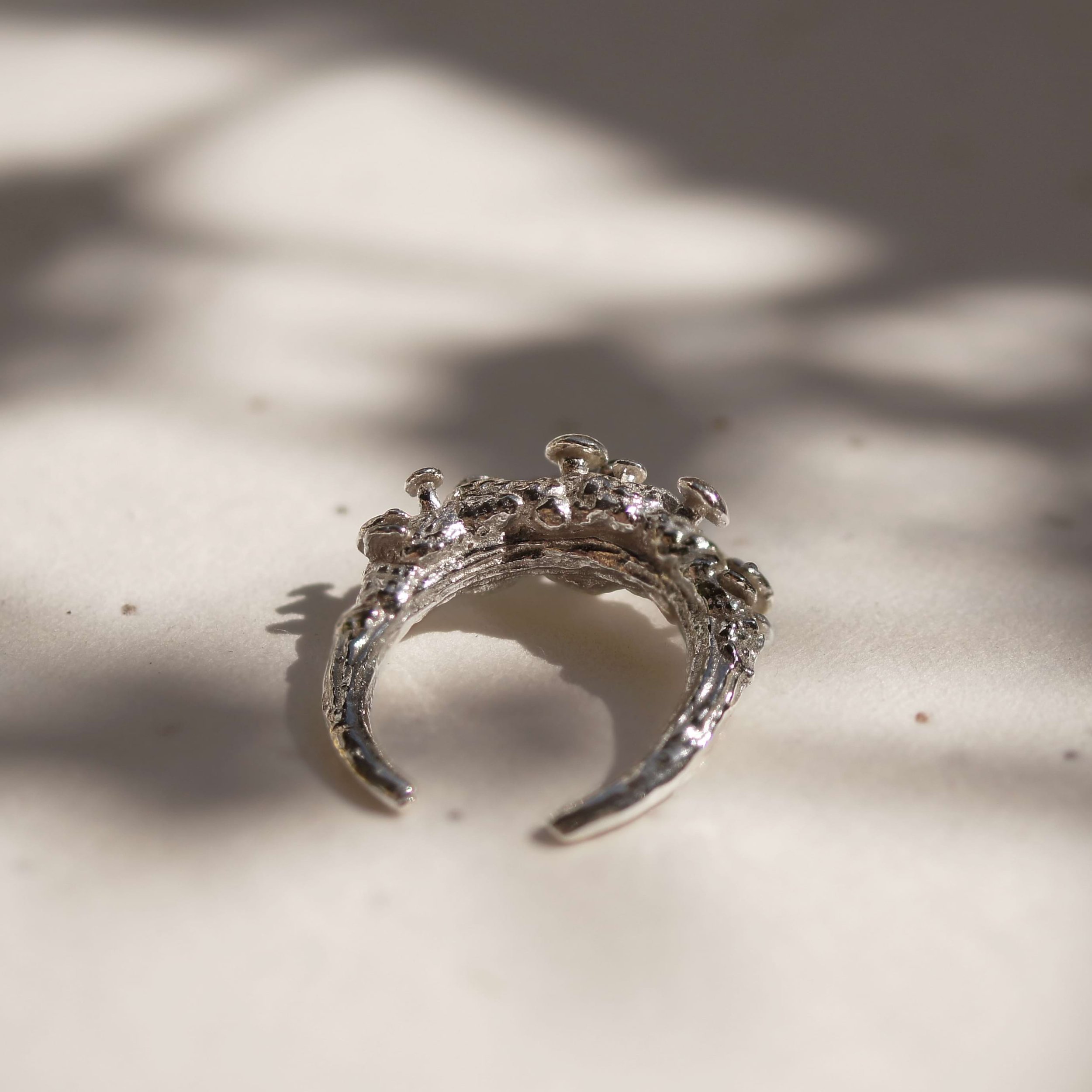 Ring_mushroom_v02_silver_square.jpg